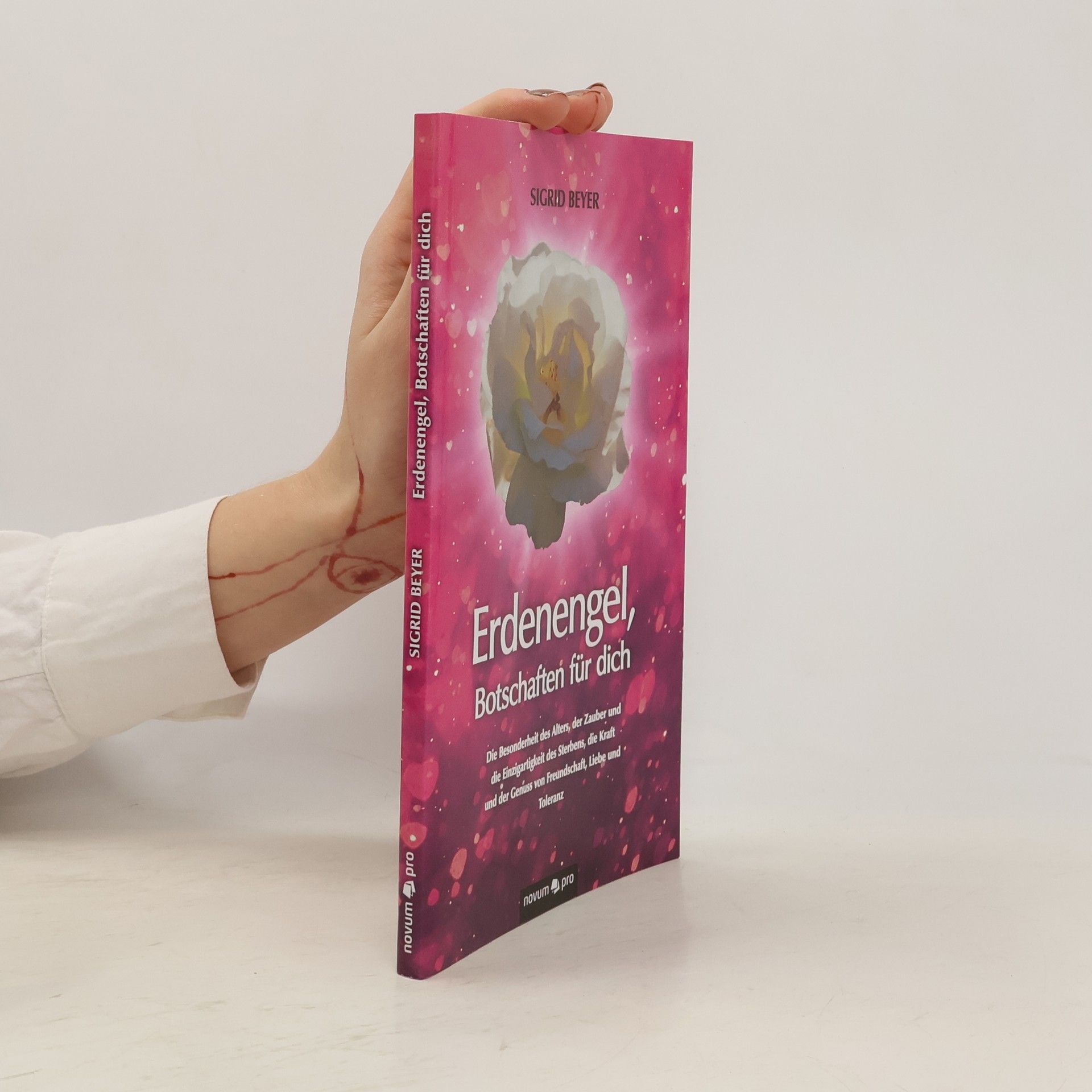 Sigrid Beyer Erdenengel, Botschaften für dich
