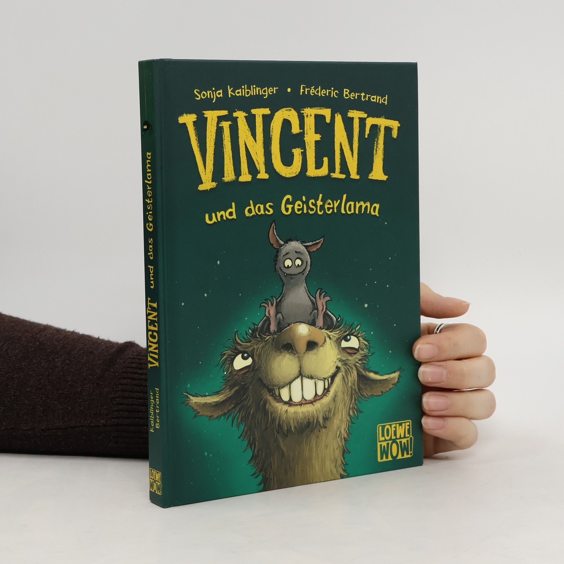 Sonja Kaiblinger Vincent und das Geisterlama