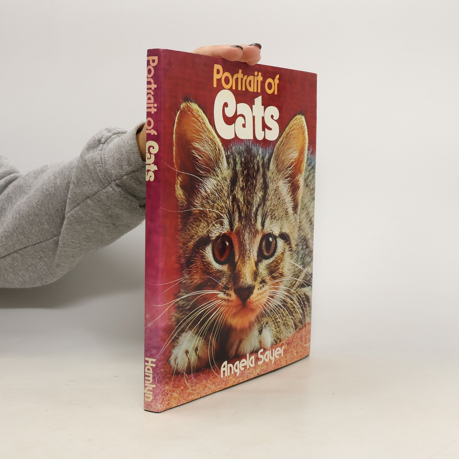 Angela Sayer Portrait of Cats