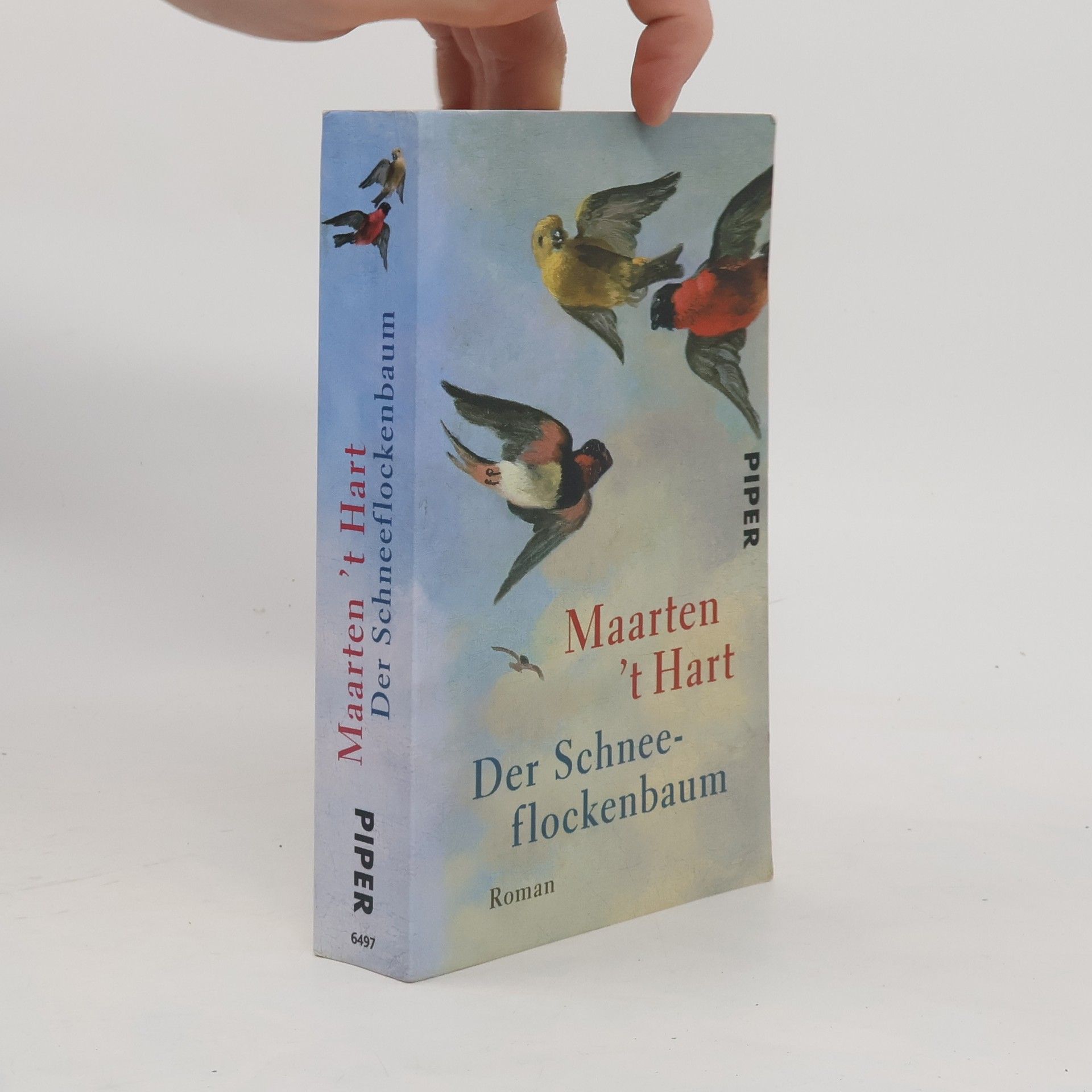 Maarten 't Hart Der Schneeflockenbaum