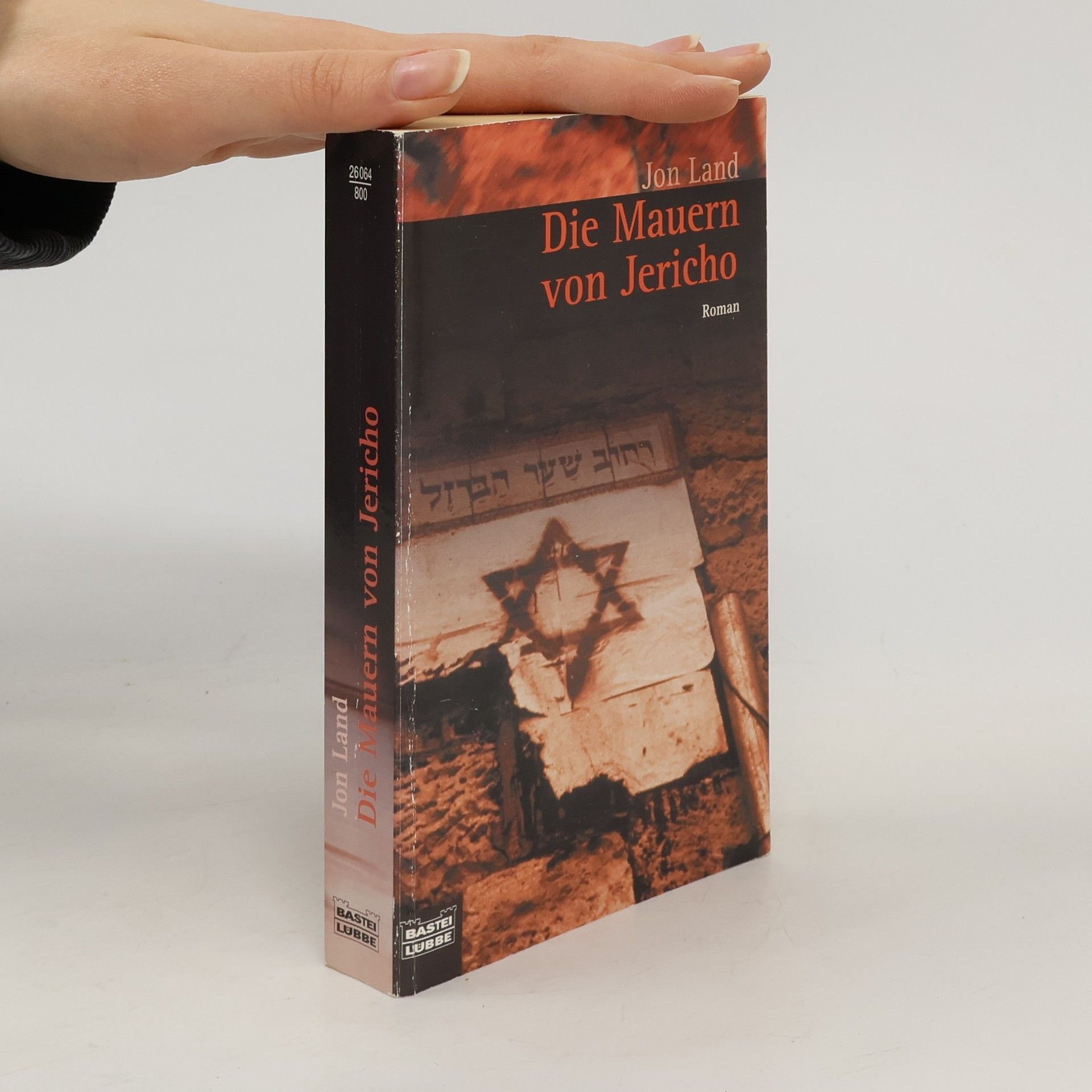 Jon Land Die Mauern von Jericho.