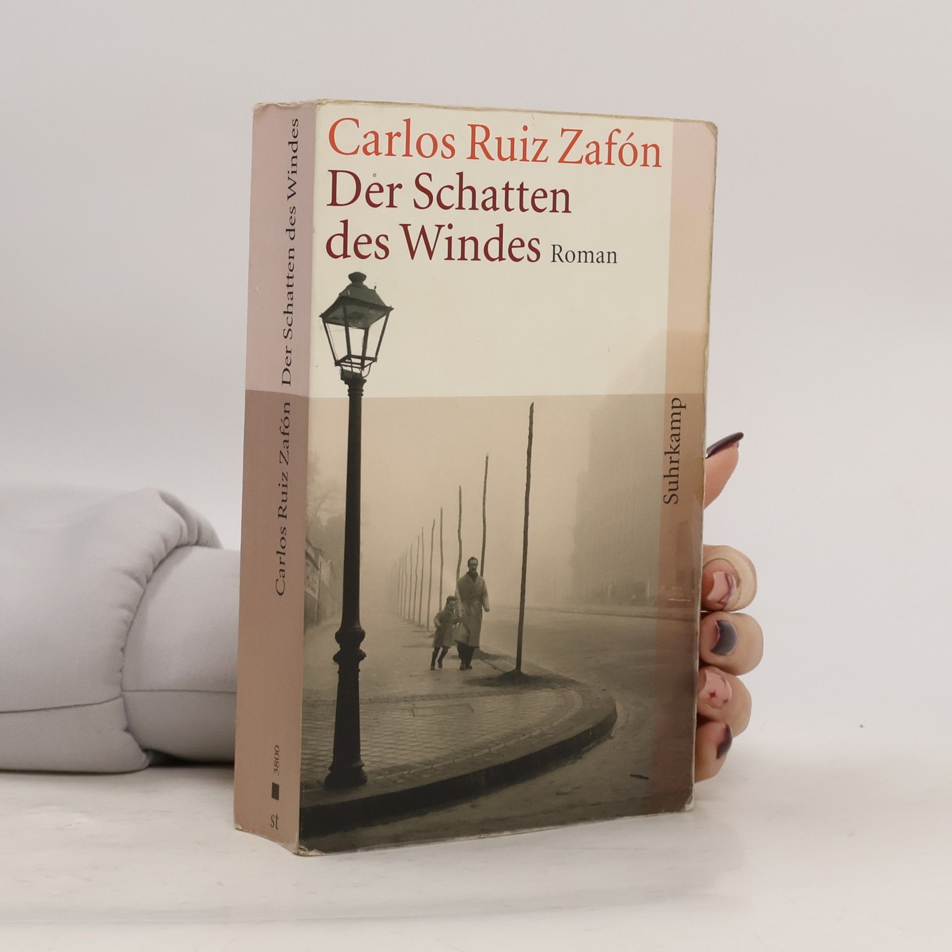 Carlos Ruiz Zafón Der Schatten des Windes