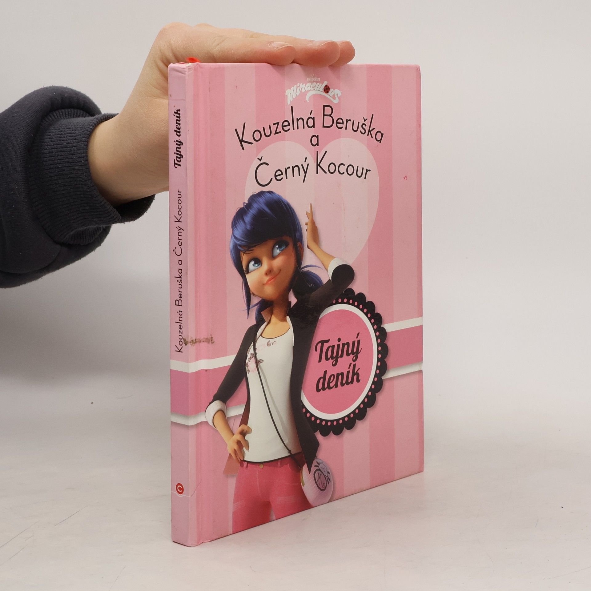 Various authors Kouzelná Beruška a Černý Kocour: Tajný deník