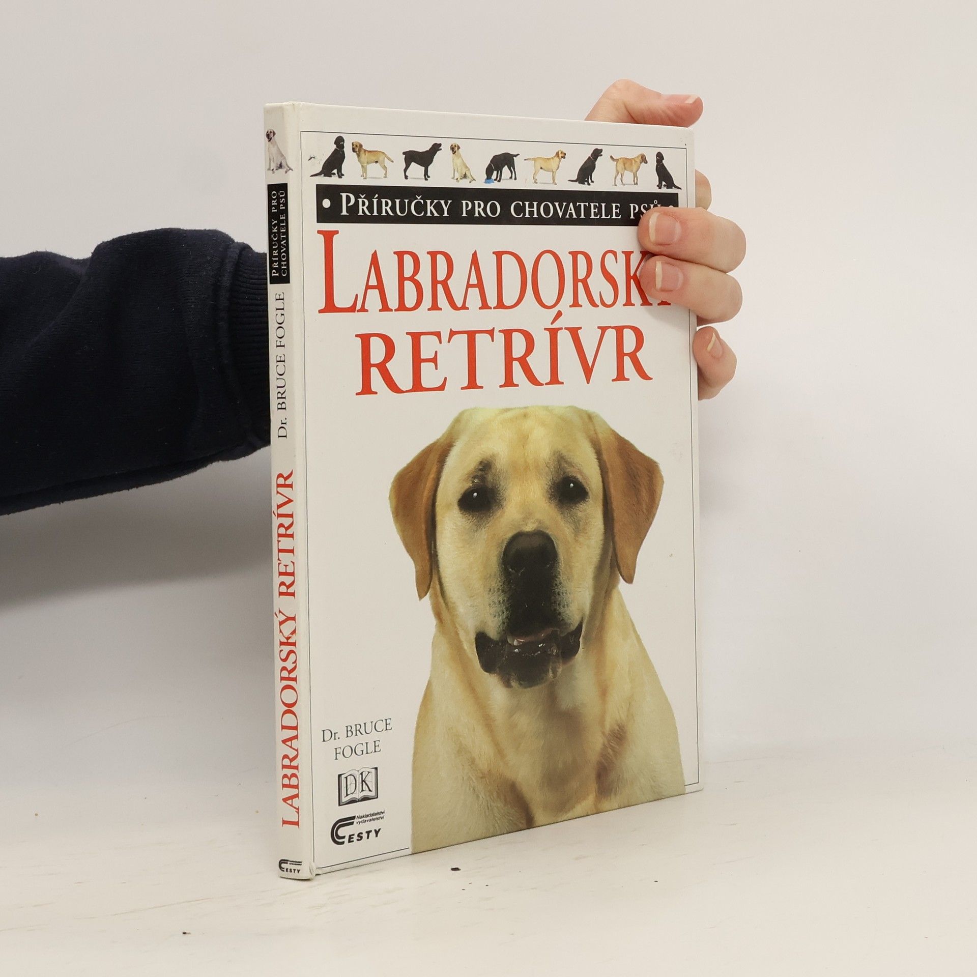 Bruce Folge Labradorský retrívr