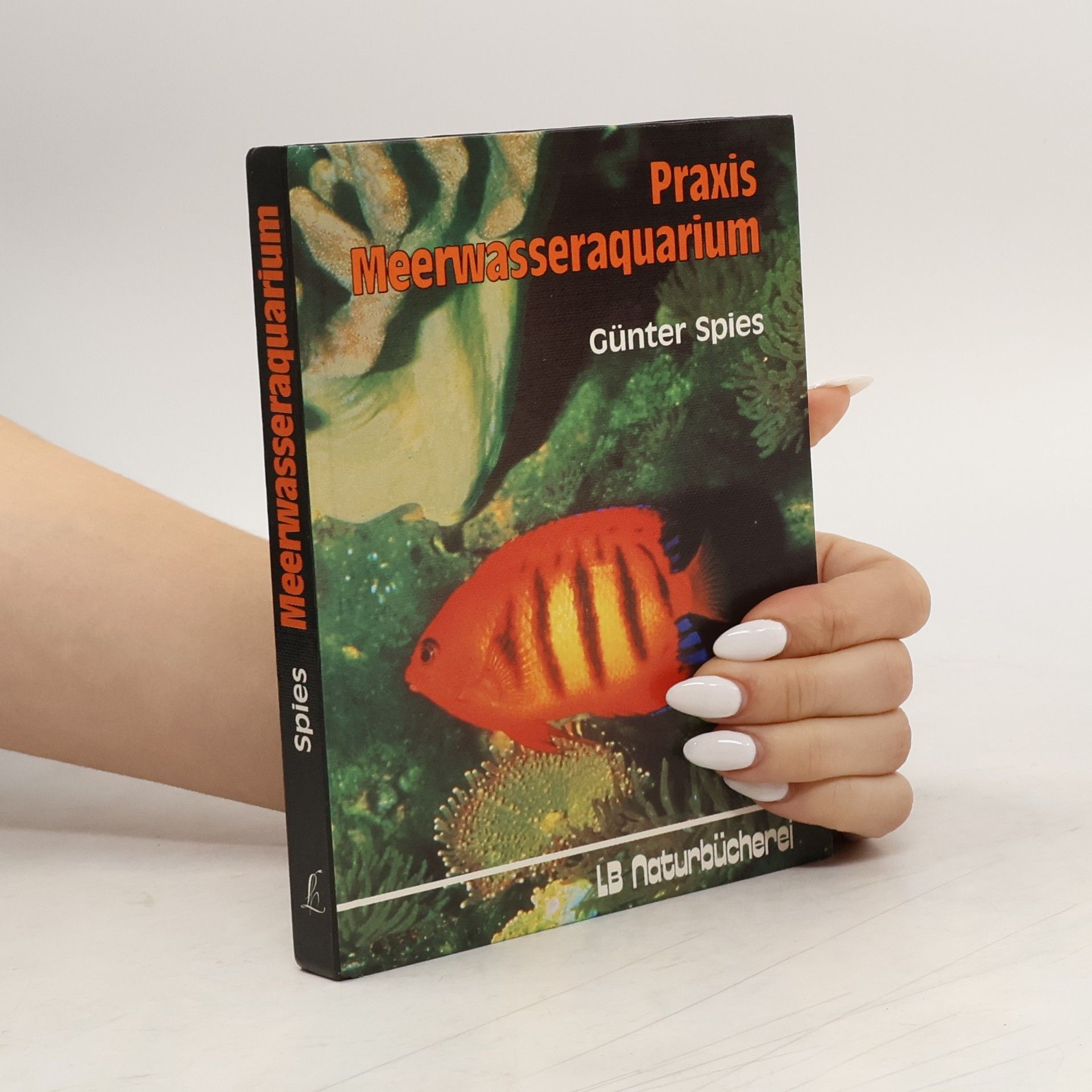 Praxis Meerwasseraquarium