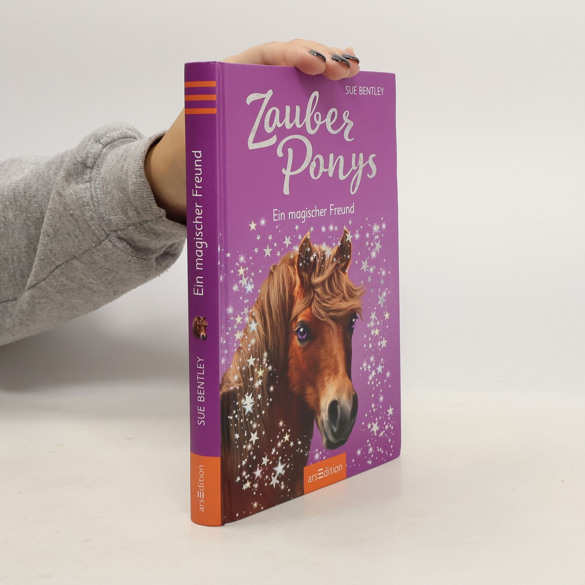 Sue Bentley Zauberponys - ein magischer Freund