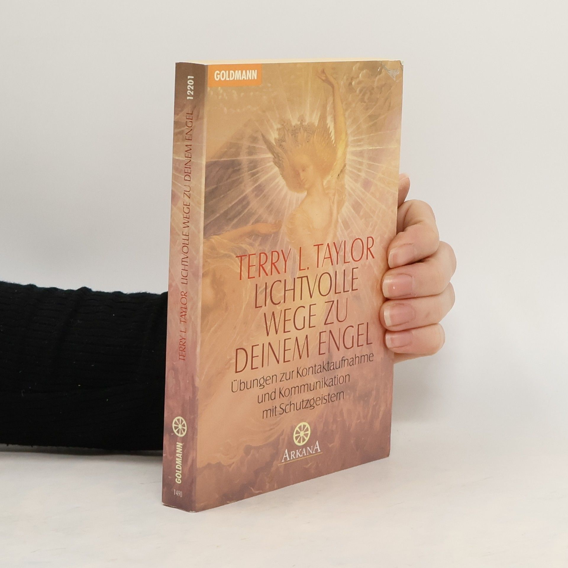 Lichtvolle Wege zu deinem Engel