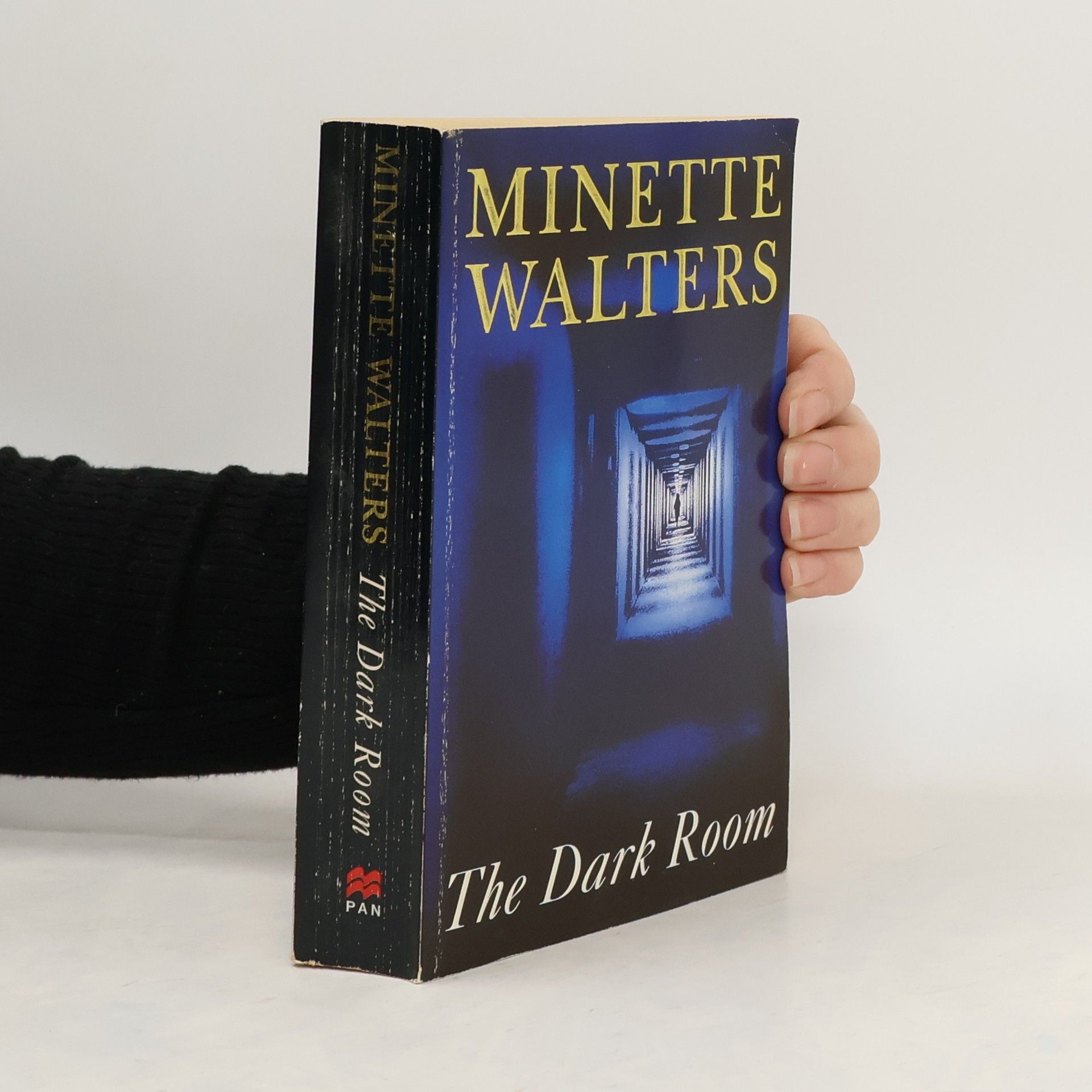 Minette Walters The Dark Room