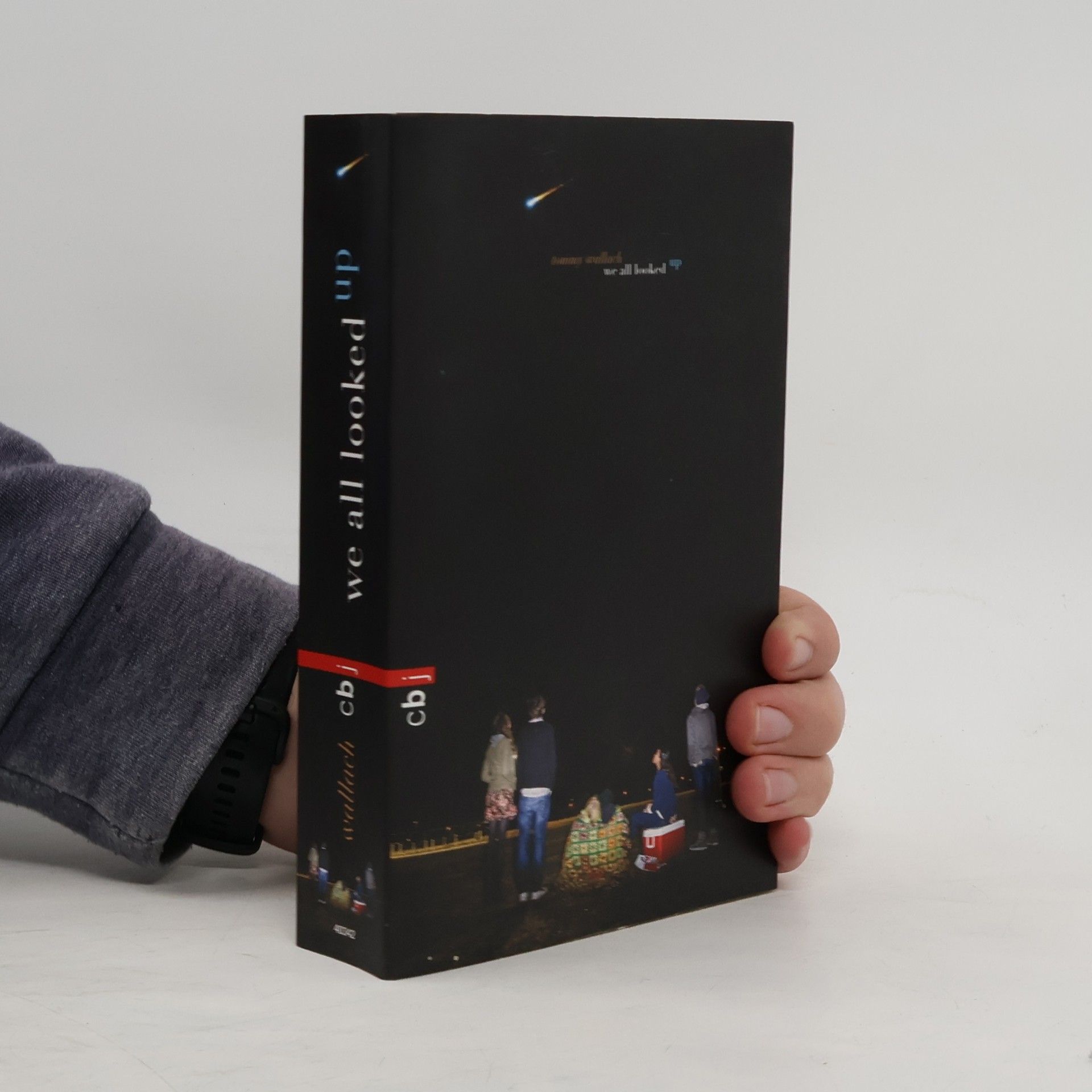 Tommy Wallach We all looked up