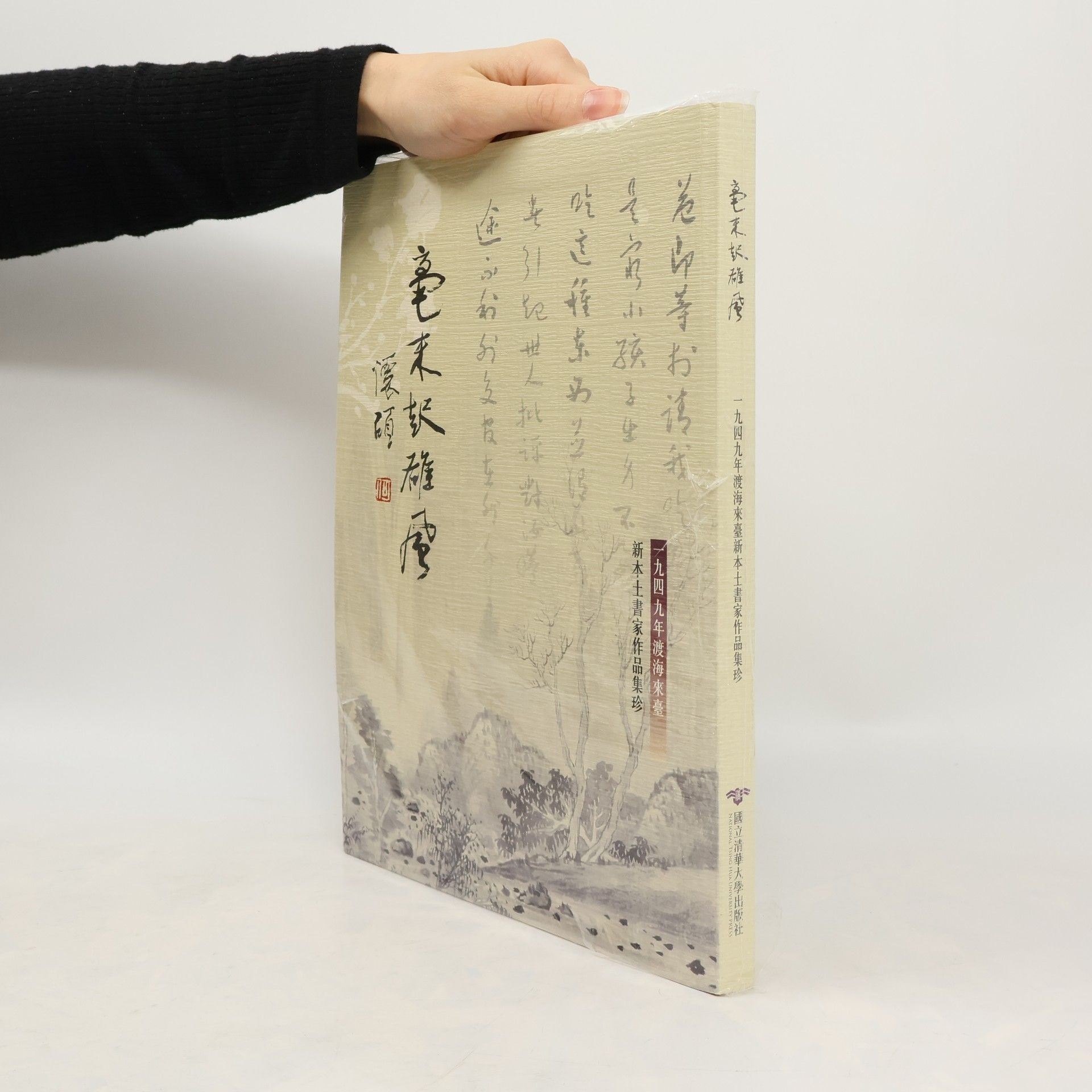 張雄震 毫末起雄風