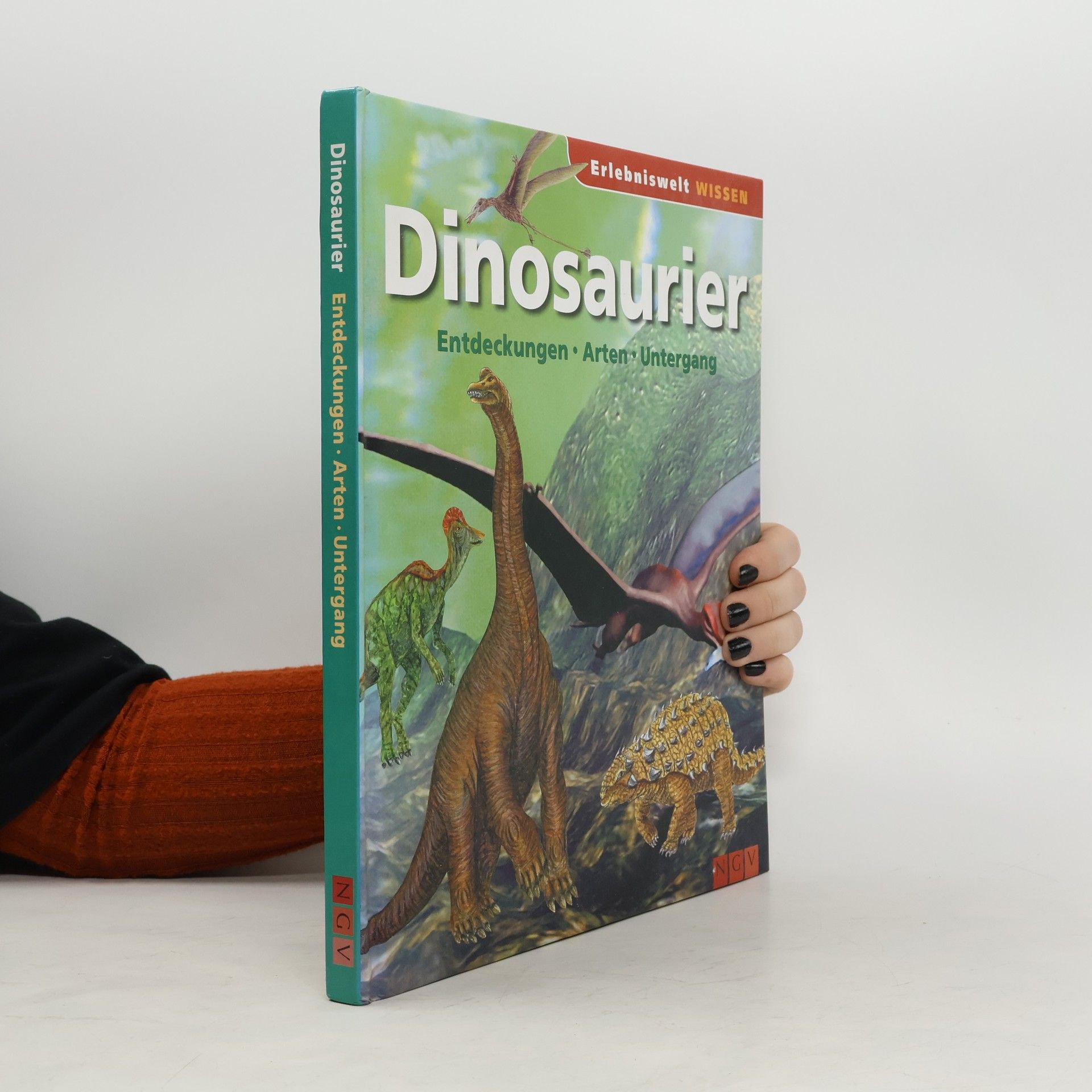 Kolektiv autorů Dinosaurier