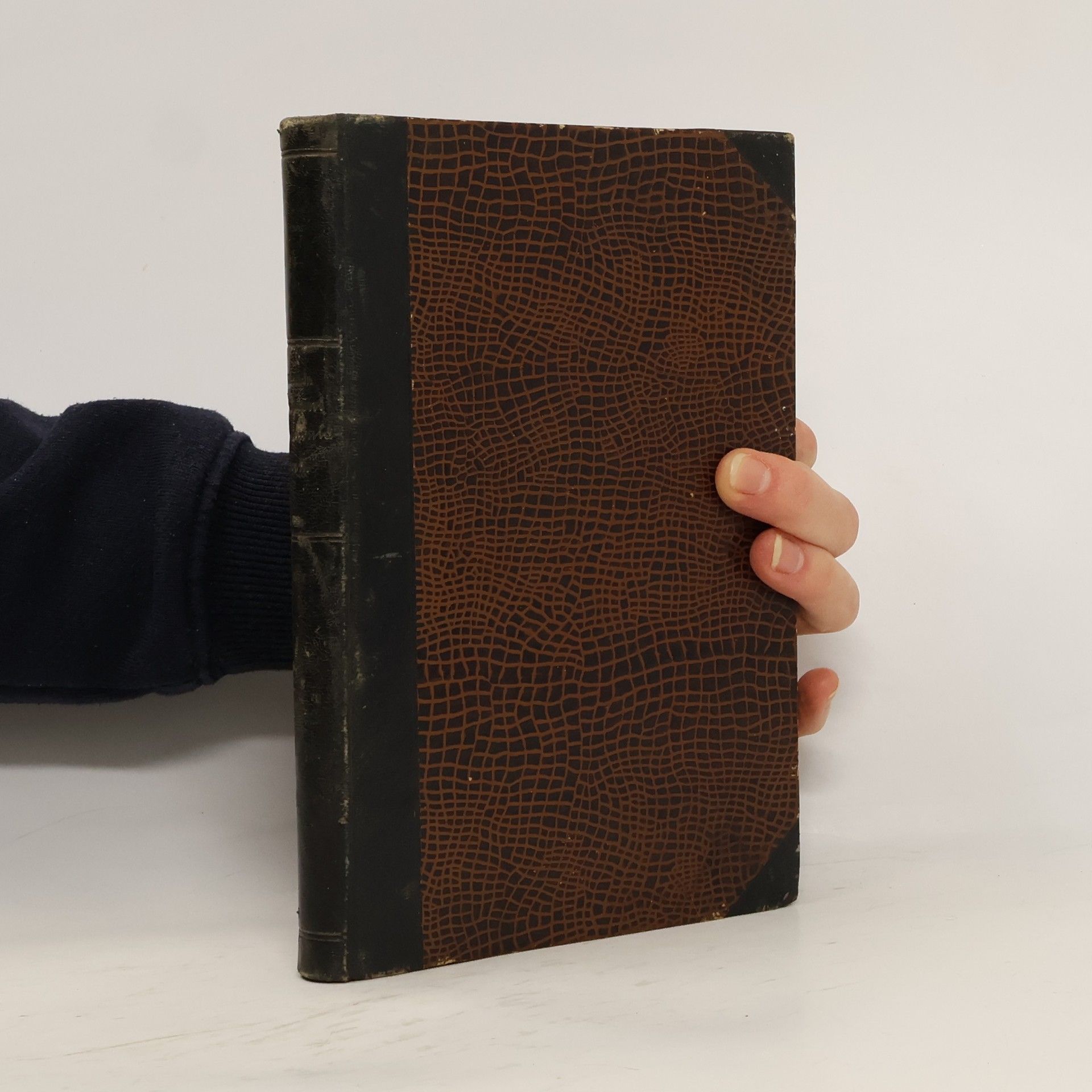 Václav Leandr Zařízení a užívání akkumulátorů