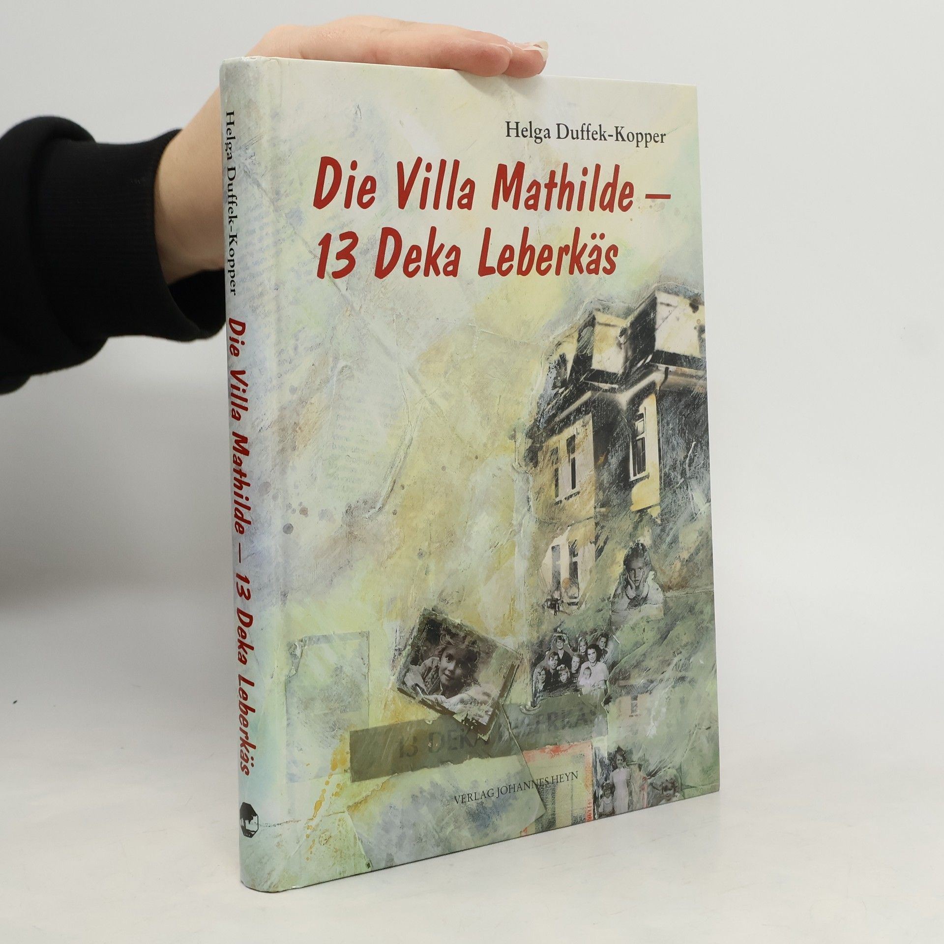 Die Villa Mathilde