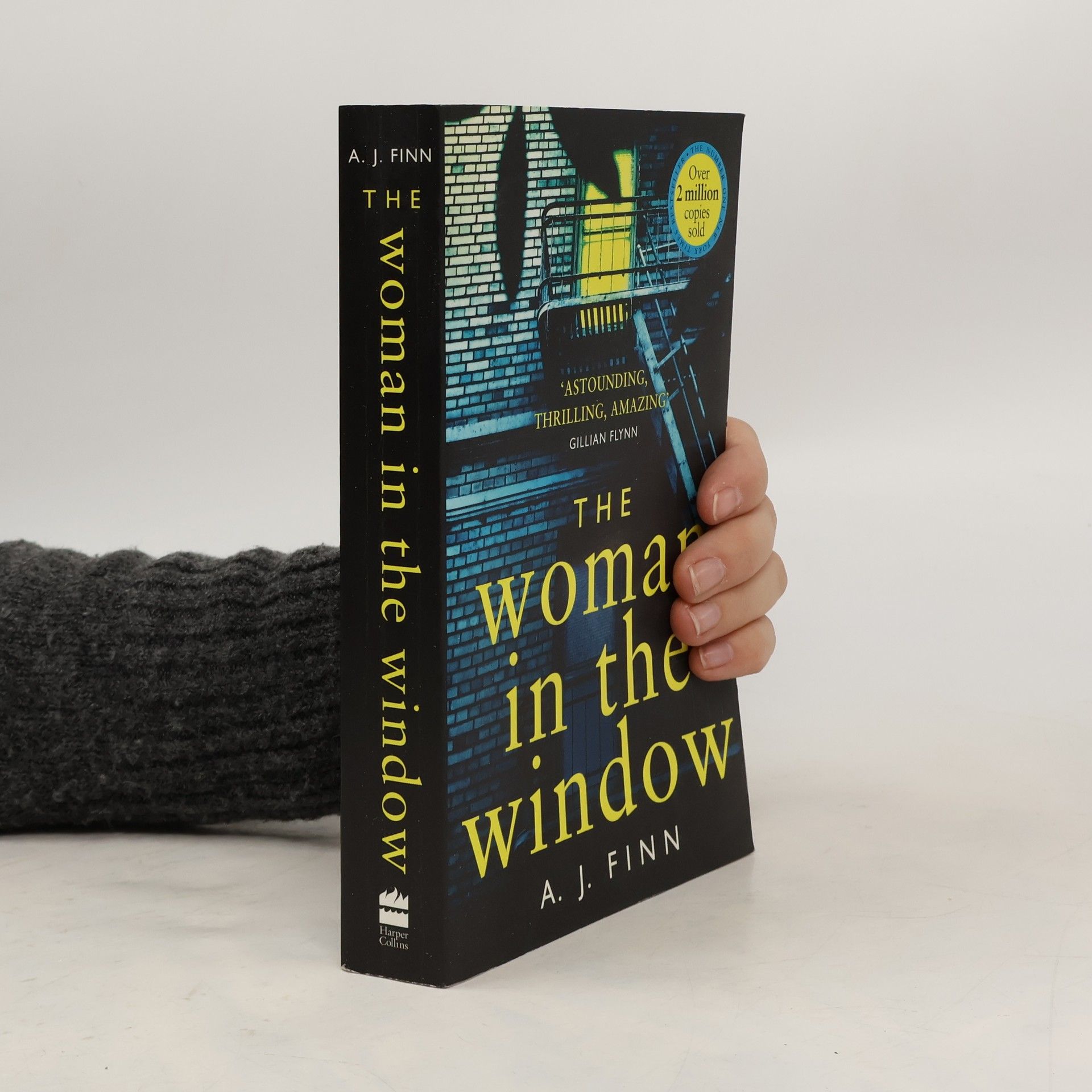 Daniel Mallory The woman in the window