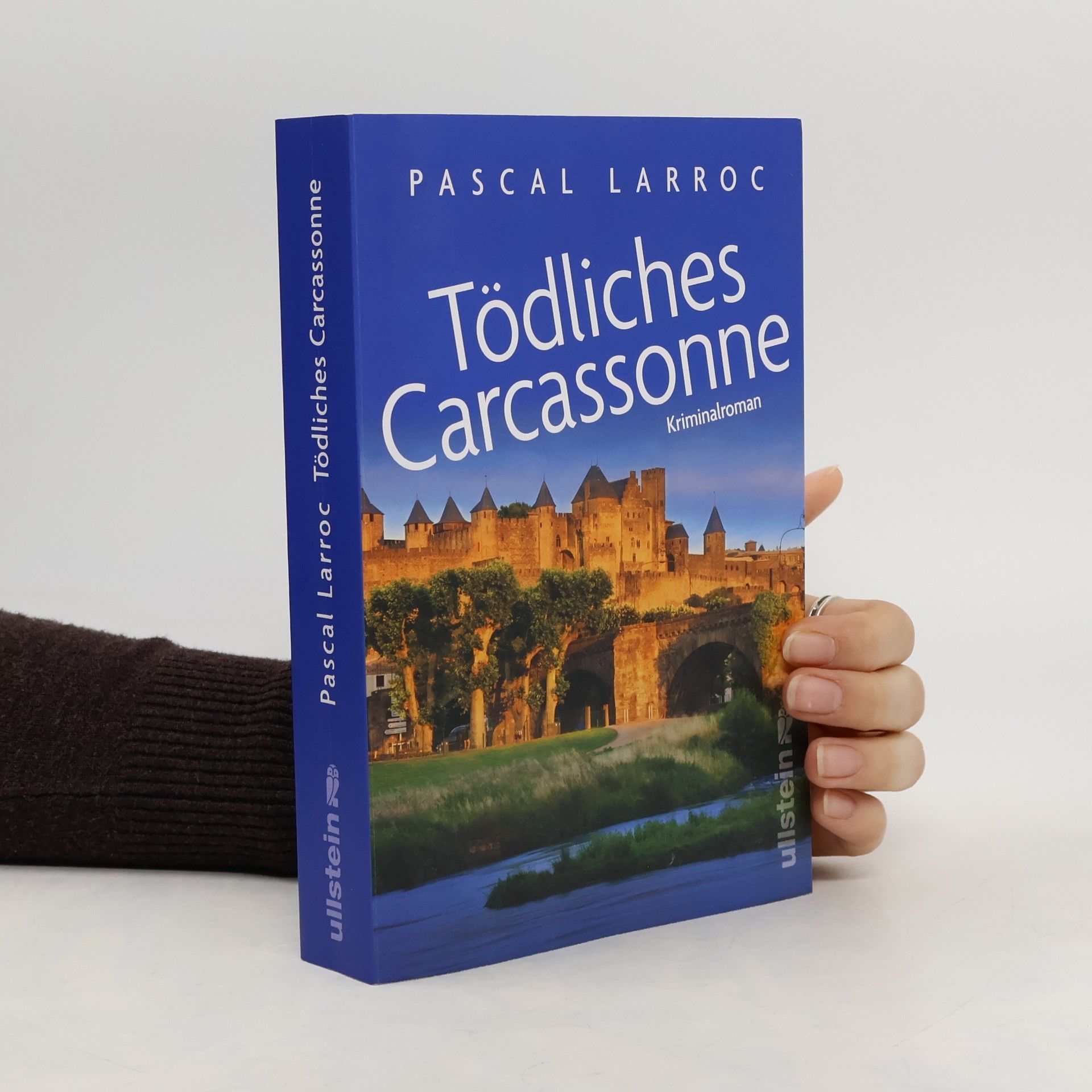 Pascal Larroc Tödliches Carcassonne