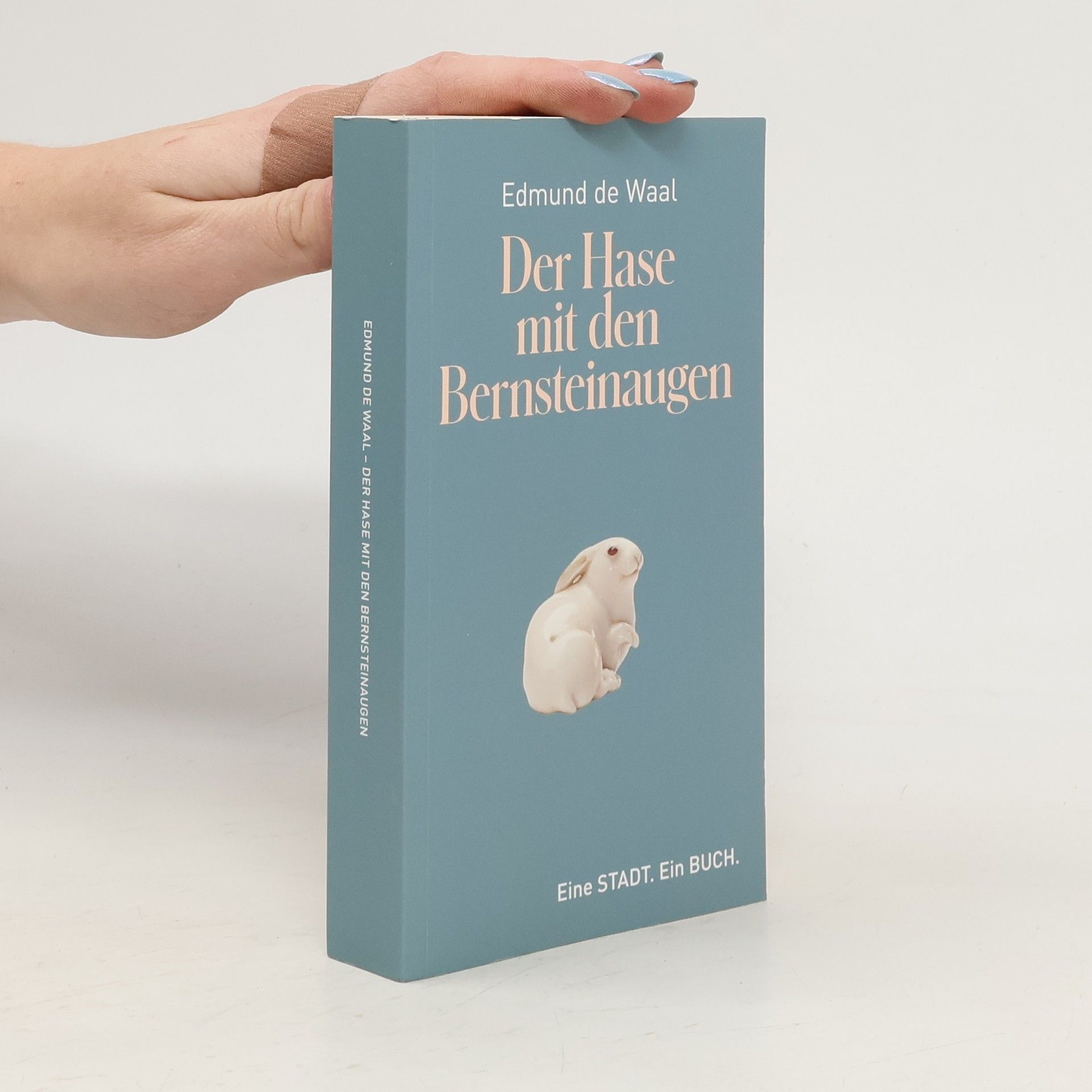 Edmund de Waal Der Hase mit den Bernsteinaugen