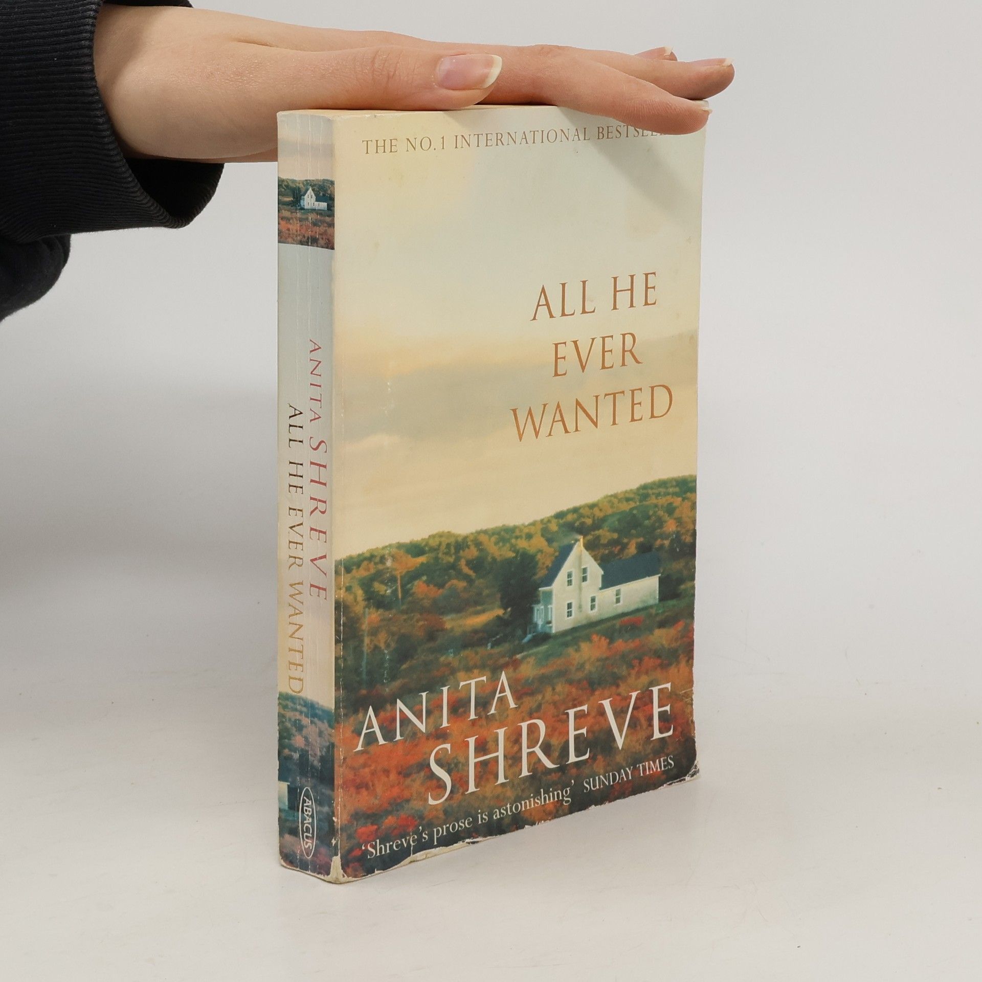 Anita Shreve All He Ever Wanted