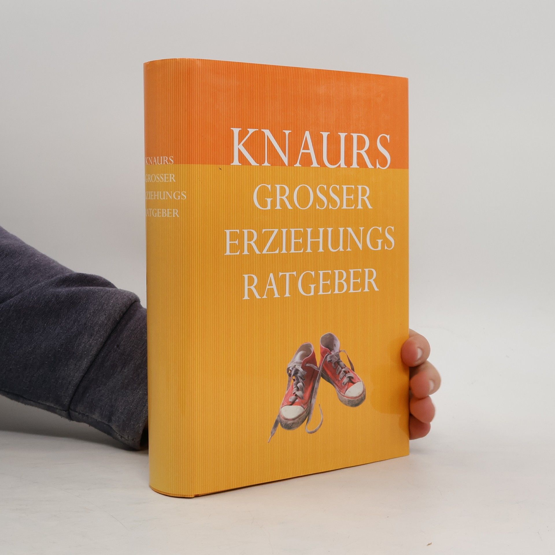 Martin Stiefenhofer Knaurs großer Erziehungs-Ratgeber