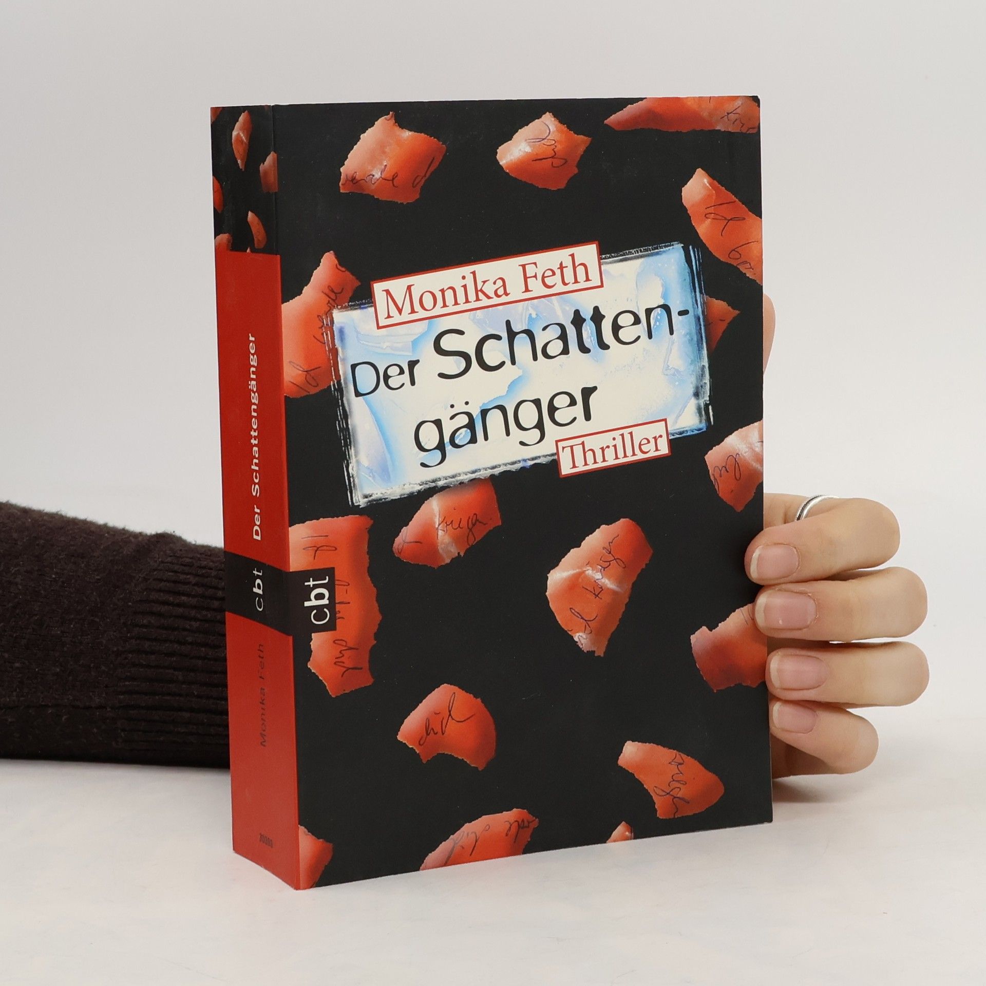 Monika Feth Der Schattengänger