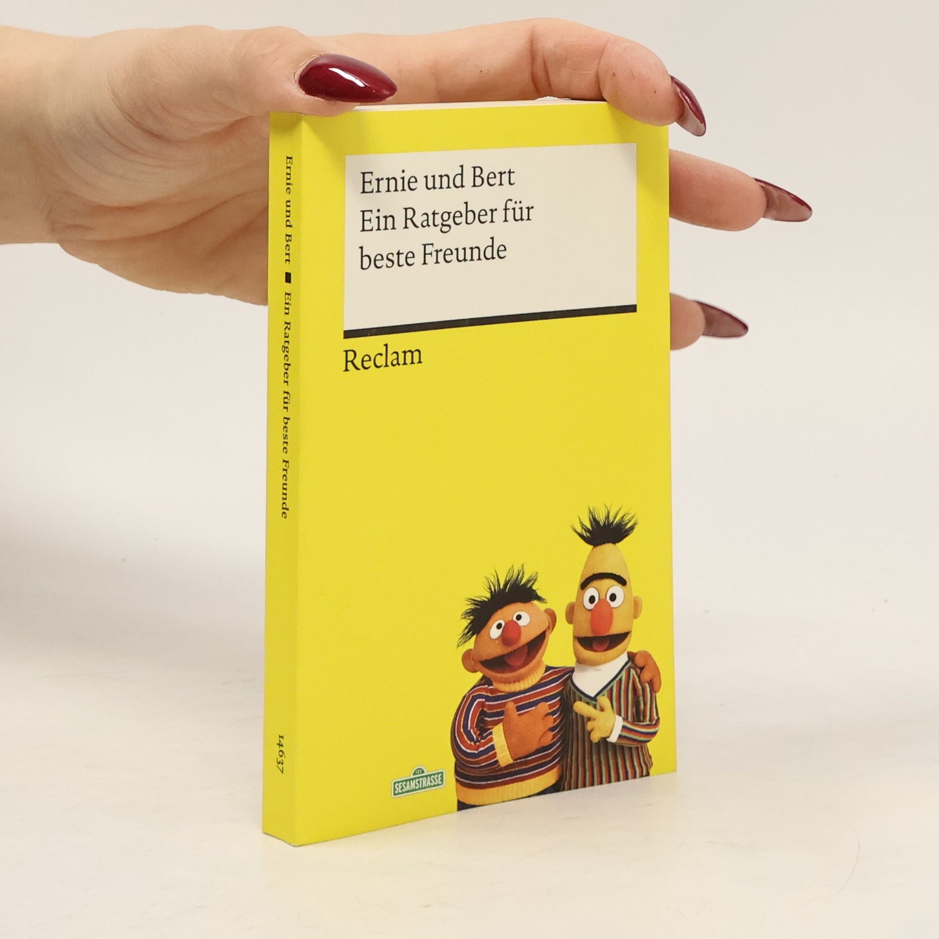 Carsten Haffke Sesamstraße: Ein Ratgeber für beste Freunde