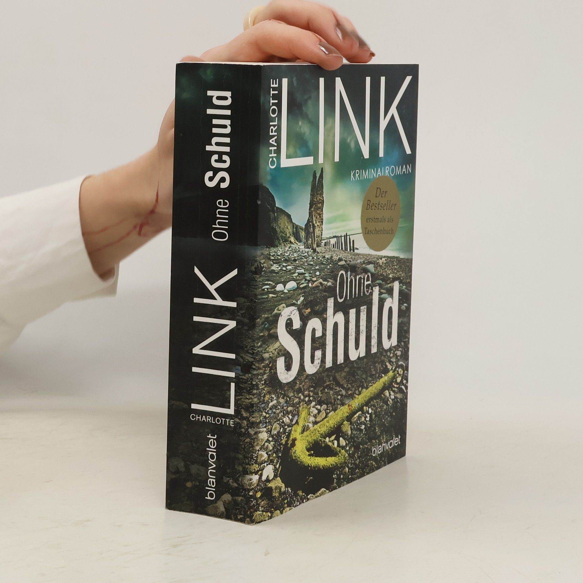 Charlotte Link Ohne Schuld