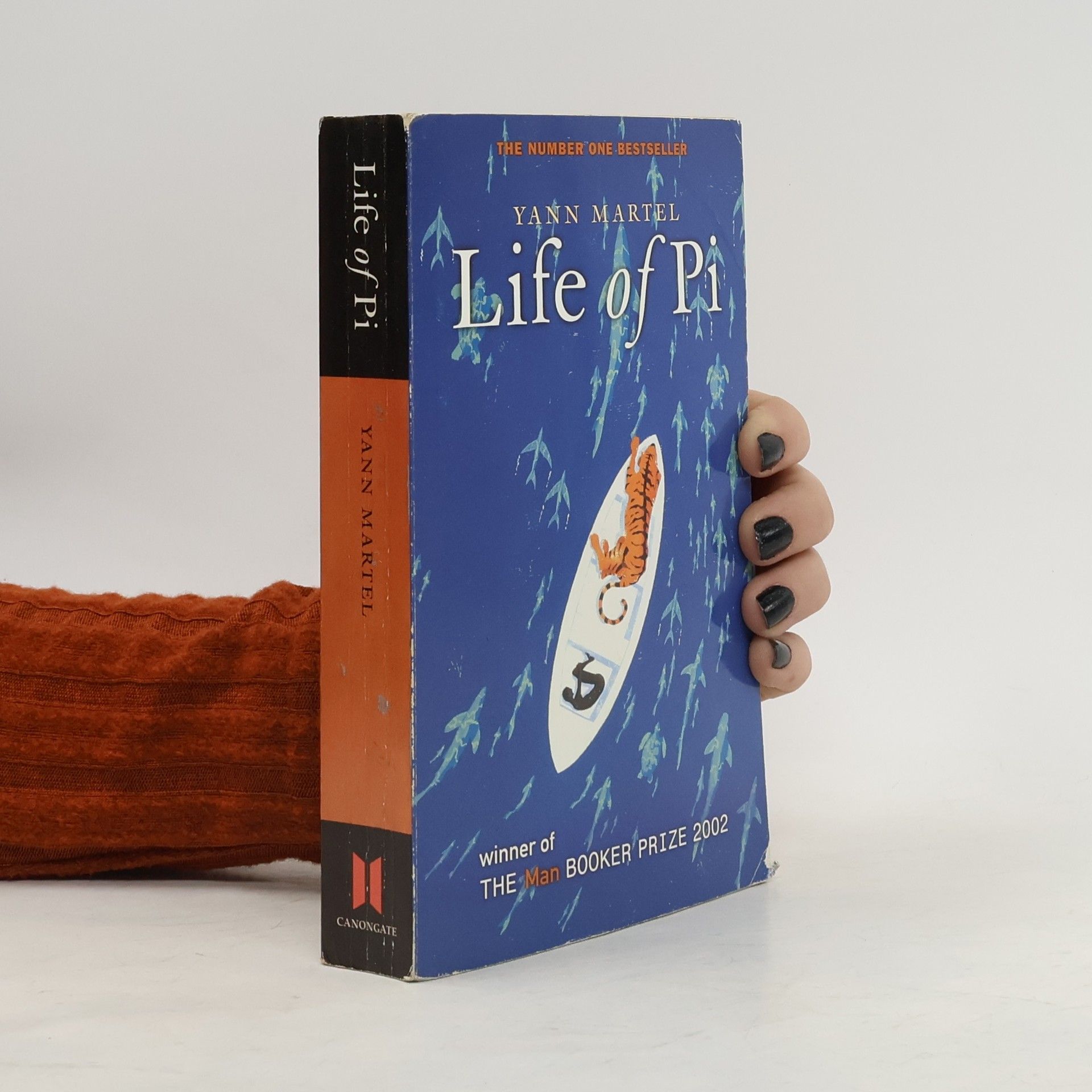 Yann Martel Life of Pi : a novel