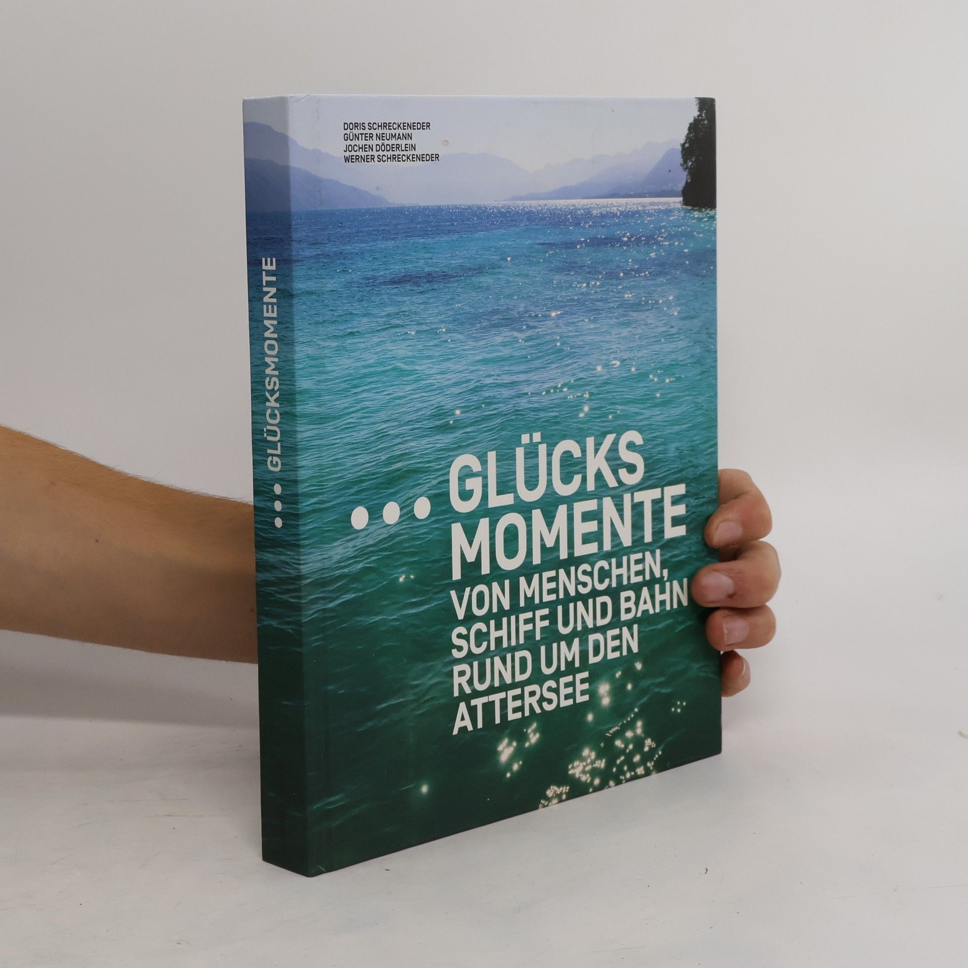 Doris Schreckeneder Glücksmomente von Menschen, Schiff und Bahn rund um den Attersee