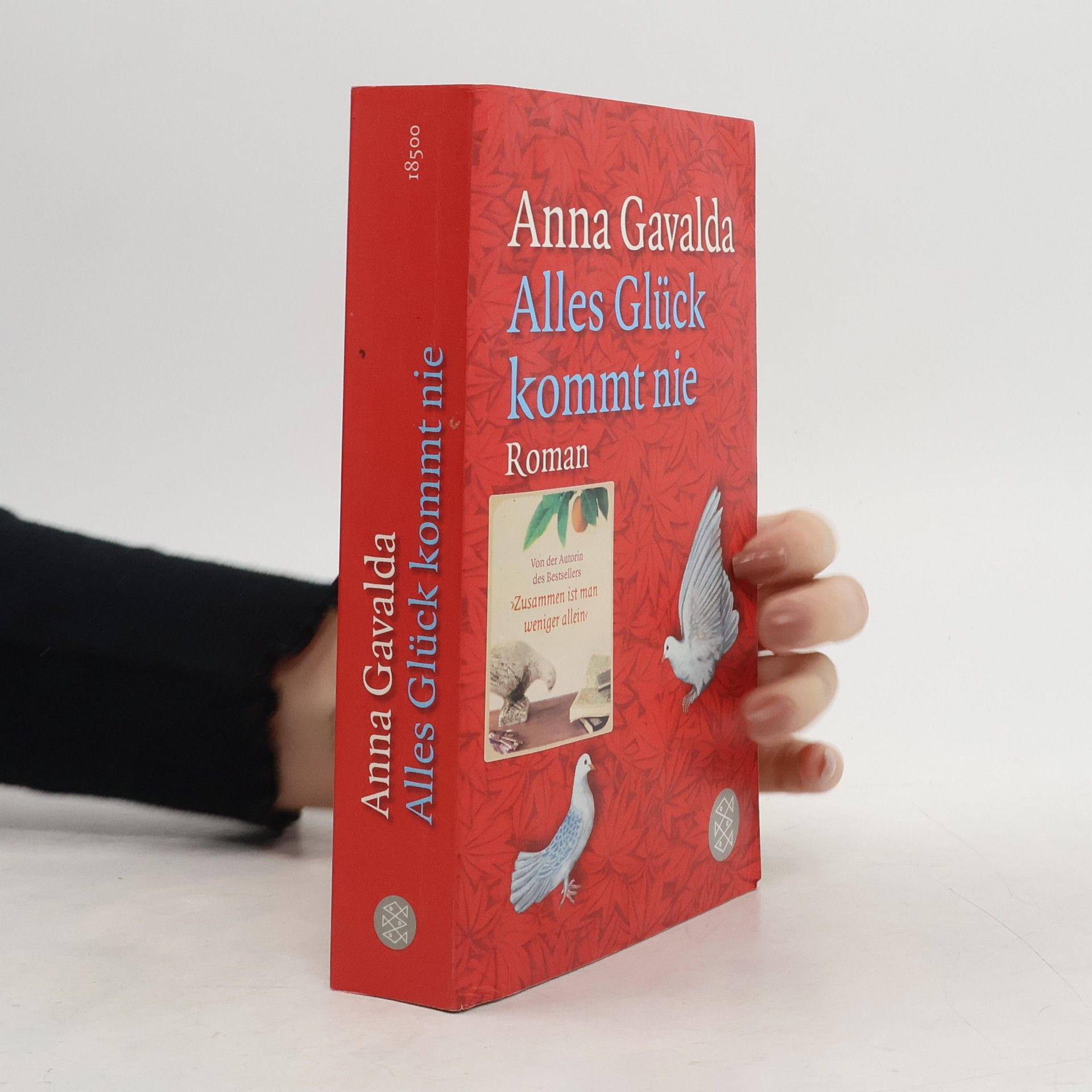 Anna Gavalda Alles Glück kommt nie