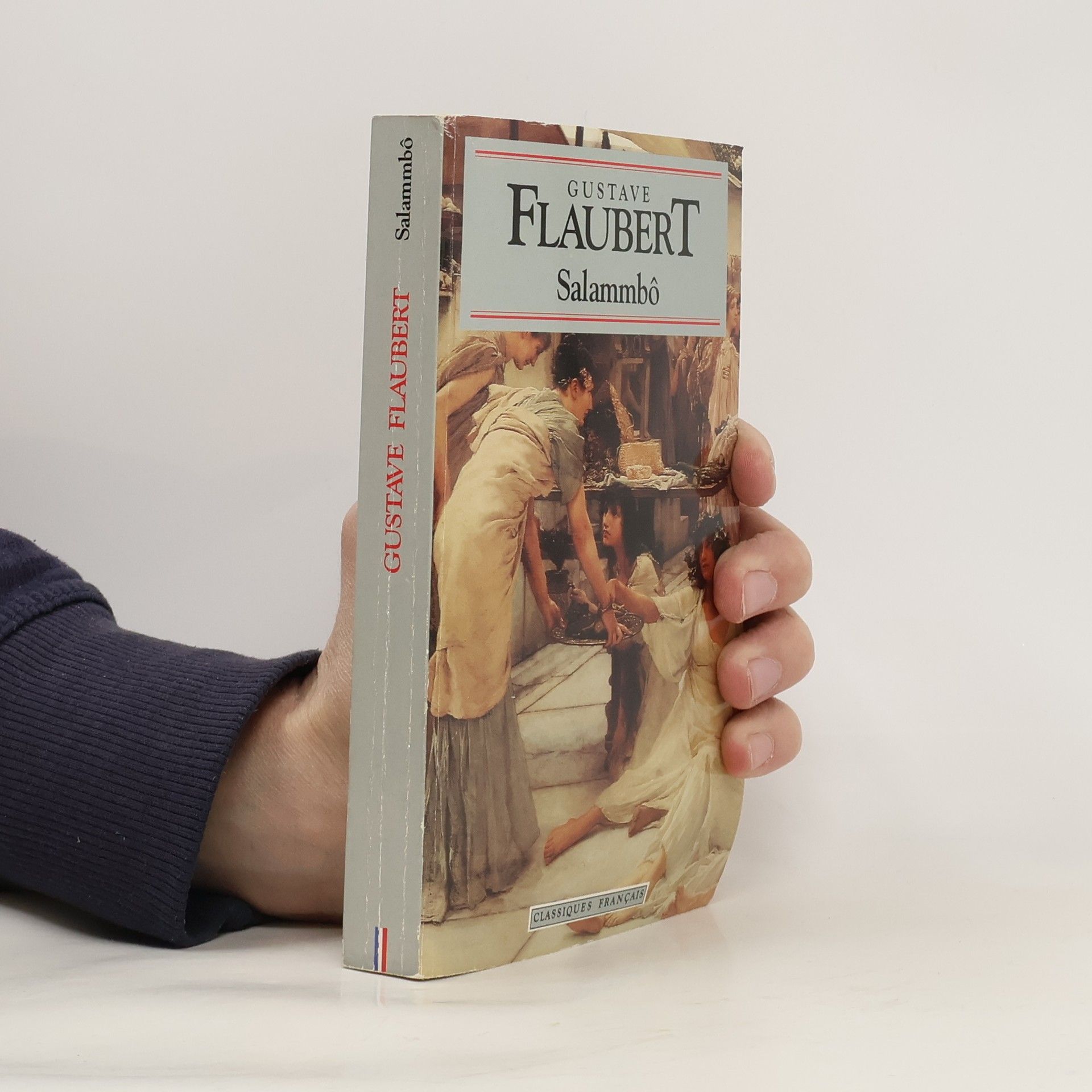 Gustave Flaubert Salammbô