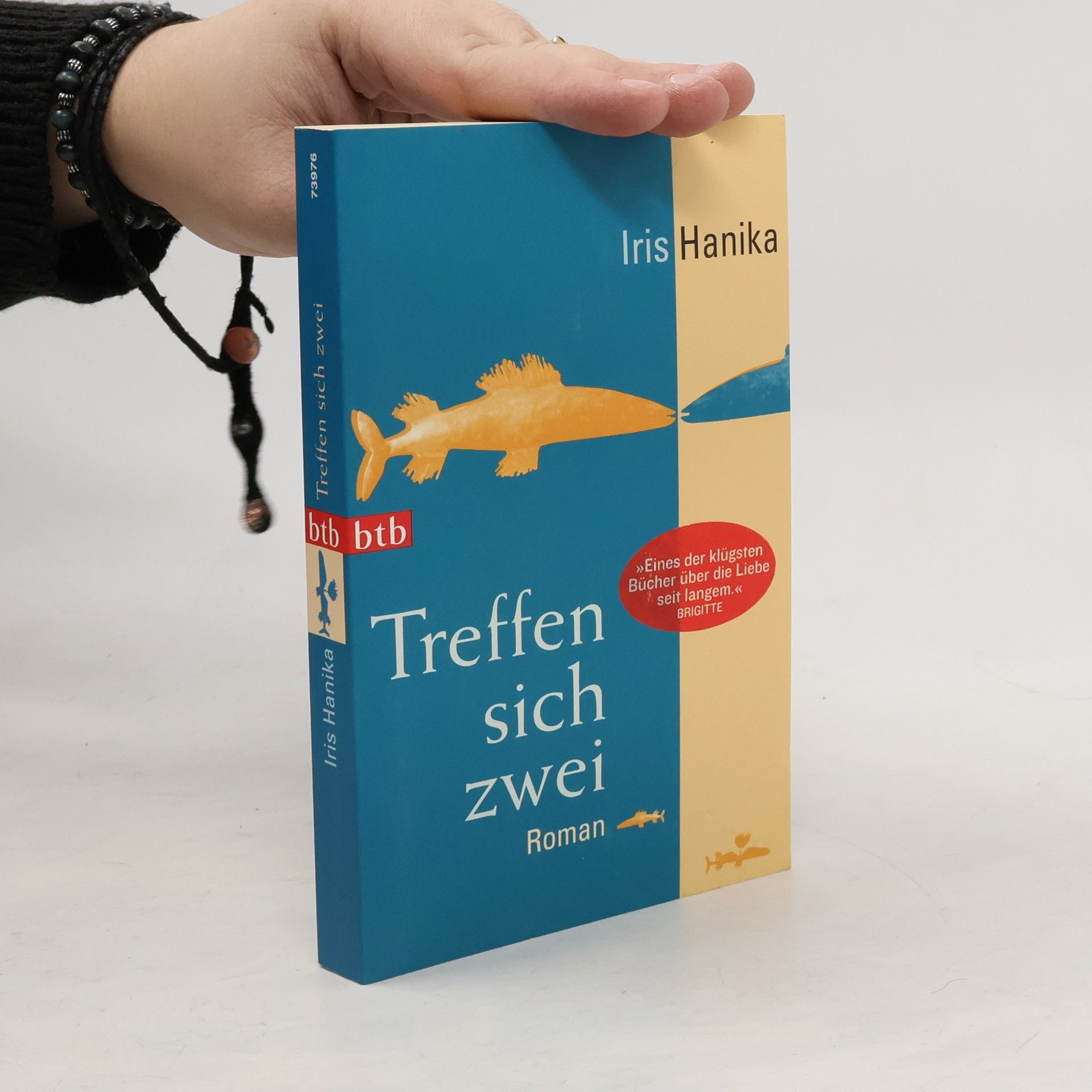 Iris Hanika Treffen sich zwei