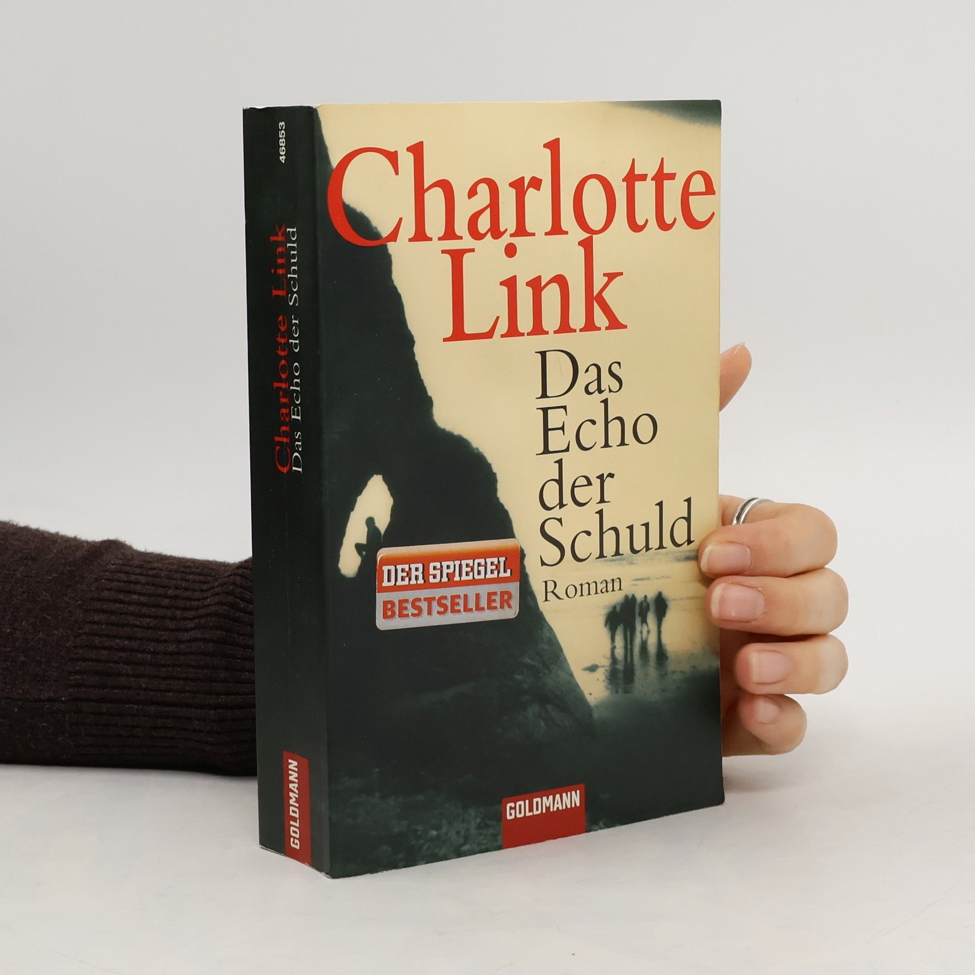 Charlotte Link Das Echo der Schuld