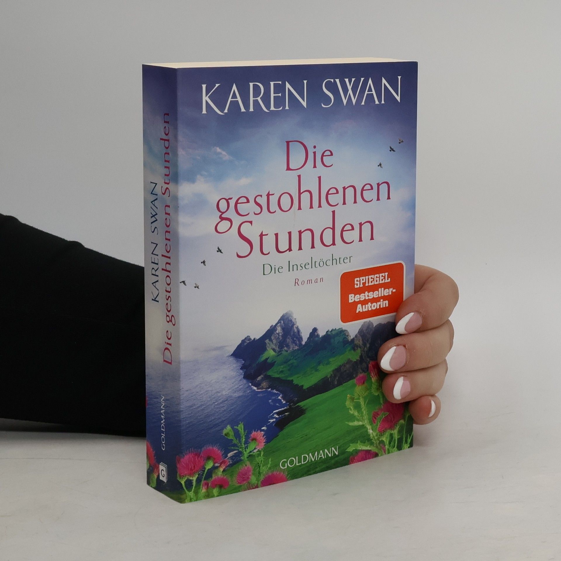 Die Inseltöchter - Die gestohlenen Stunden. Roman