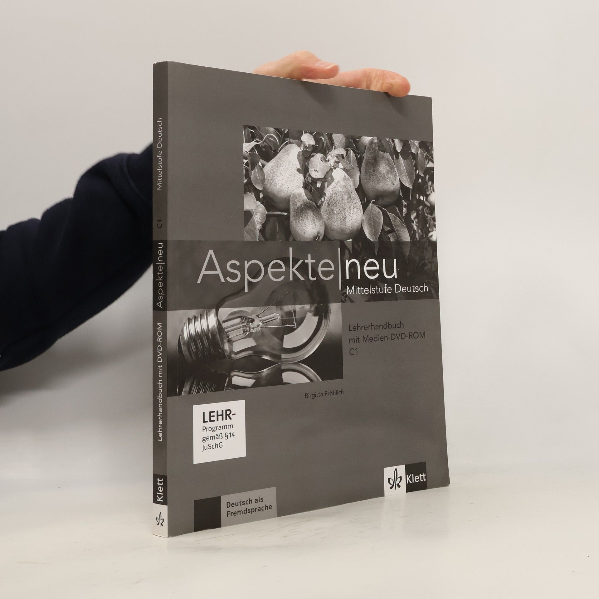 Birgitta Fröhlich Aspekte neu