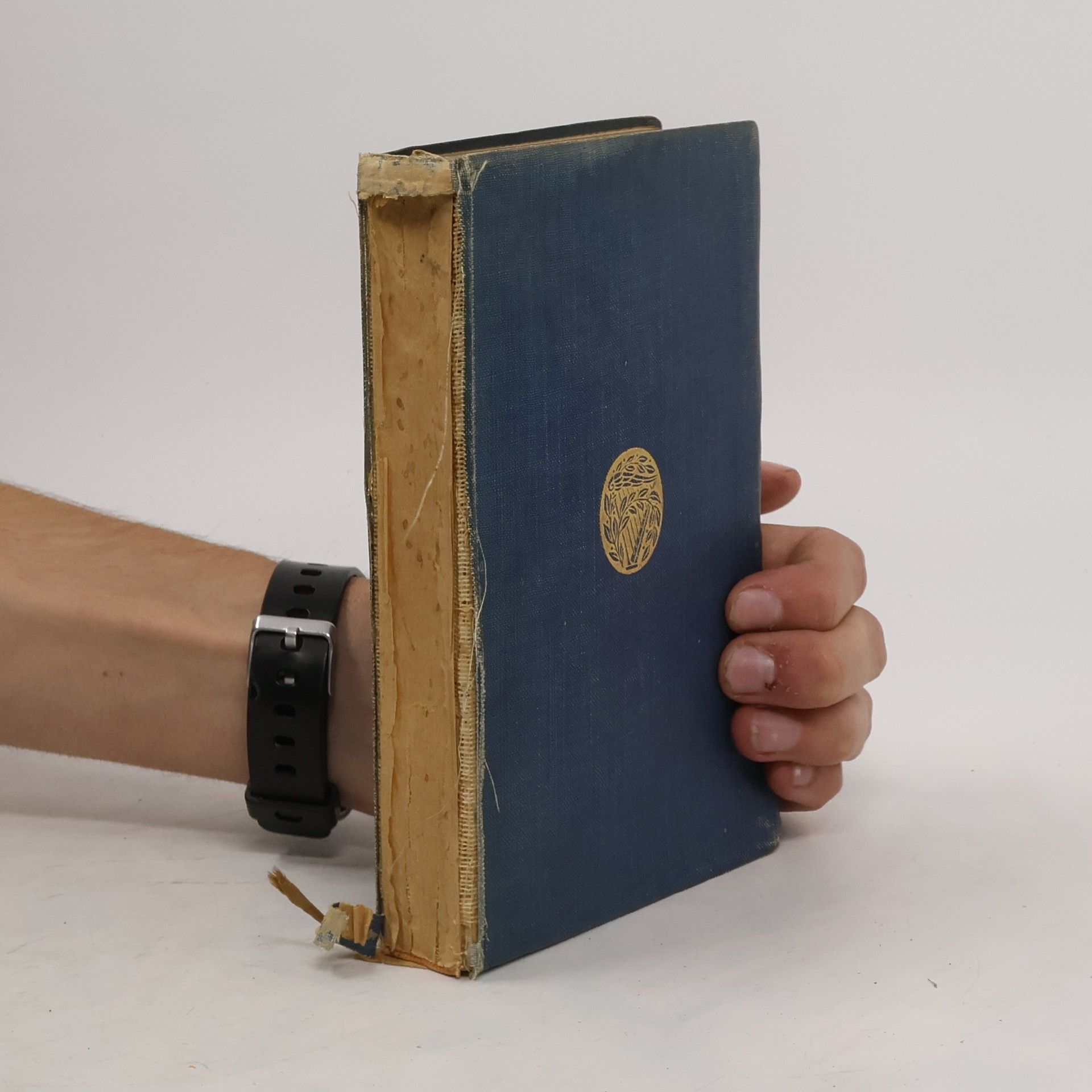 Autorenkollektiv Gedichte aus der Frühzeit Bis 1795