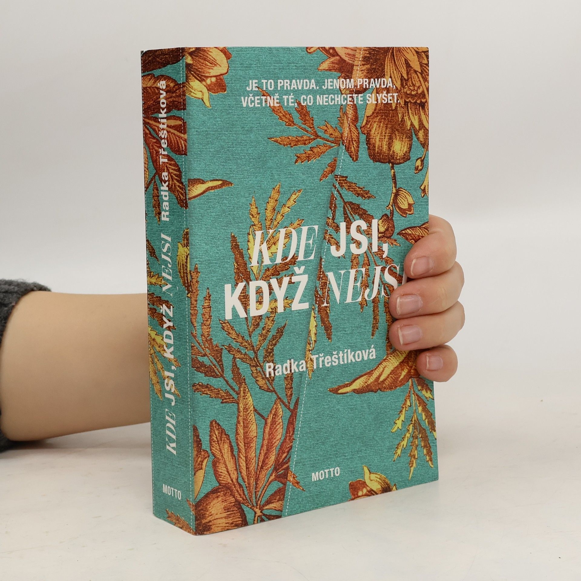 Radka Třeštíková Kde jsi, když nejsi