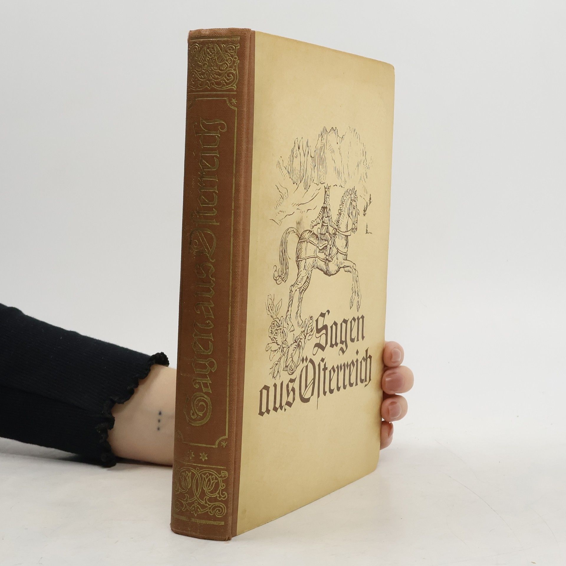 Autores varios Sagen aus Österreich