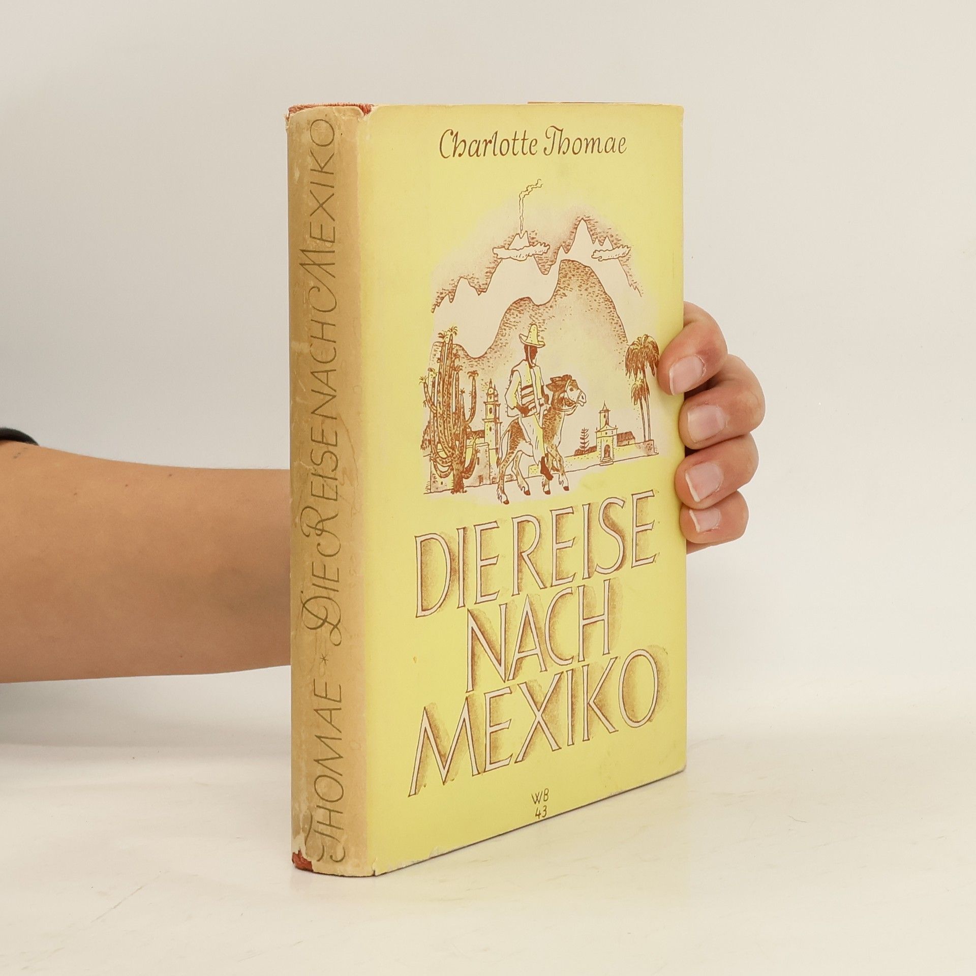 Charlotte Thomae Die Reise nach Mexiko