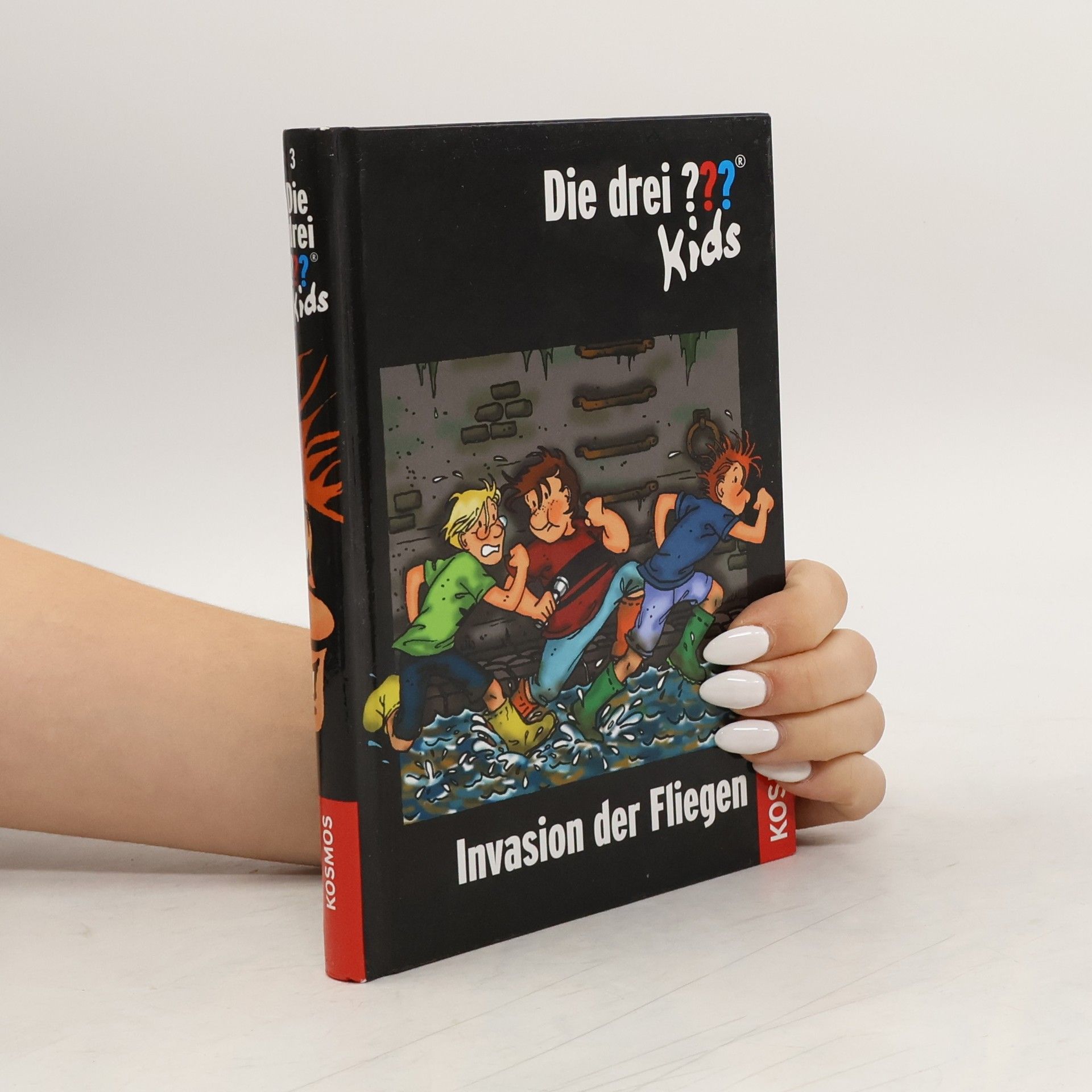 Ulf Blanck Invasion der Fliegen