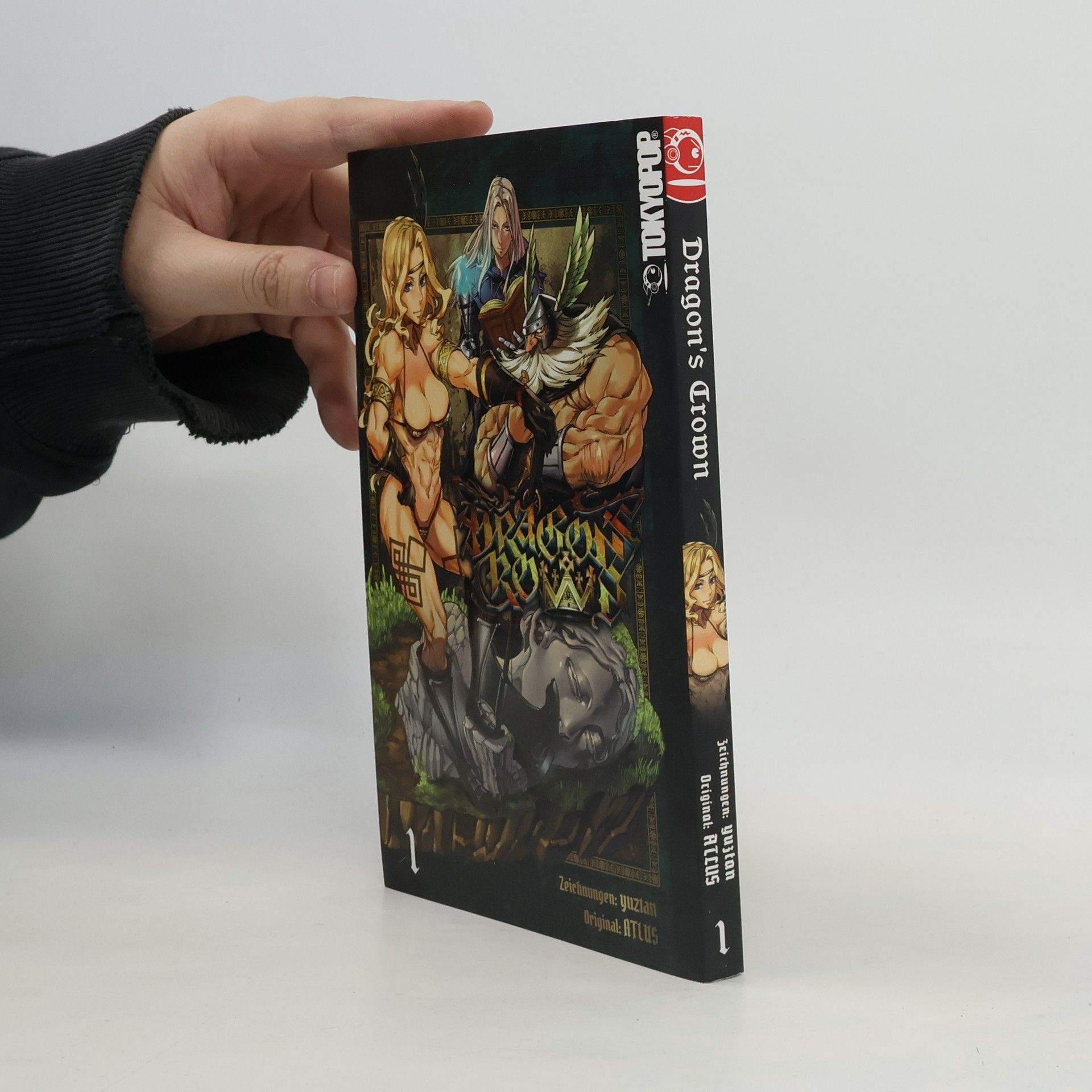 Autores varios Dragon's crown