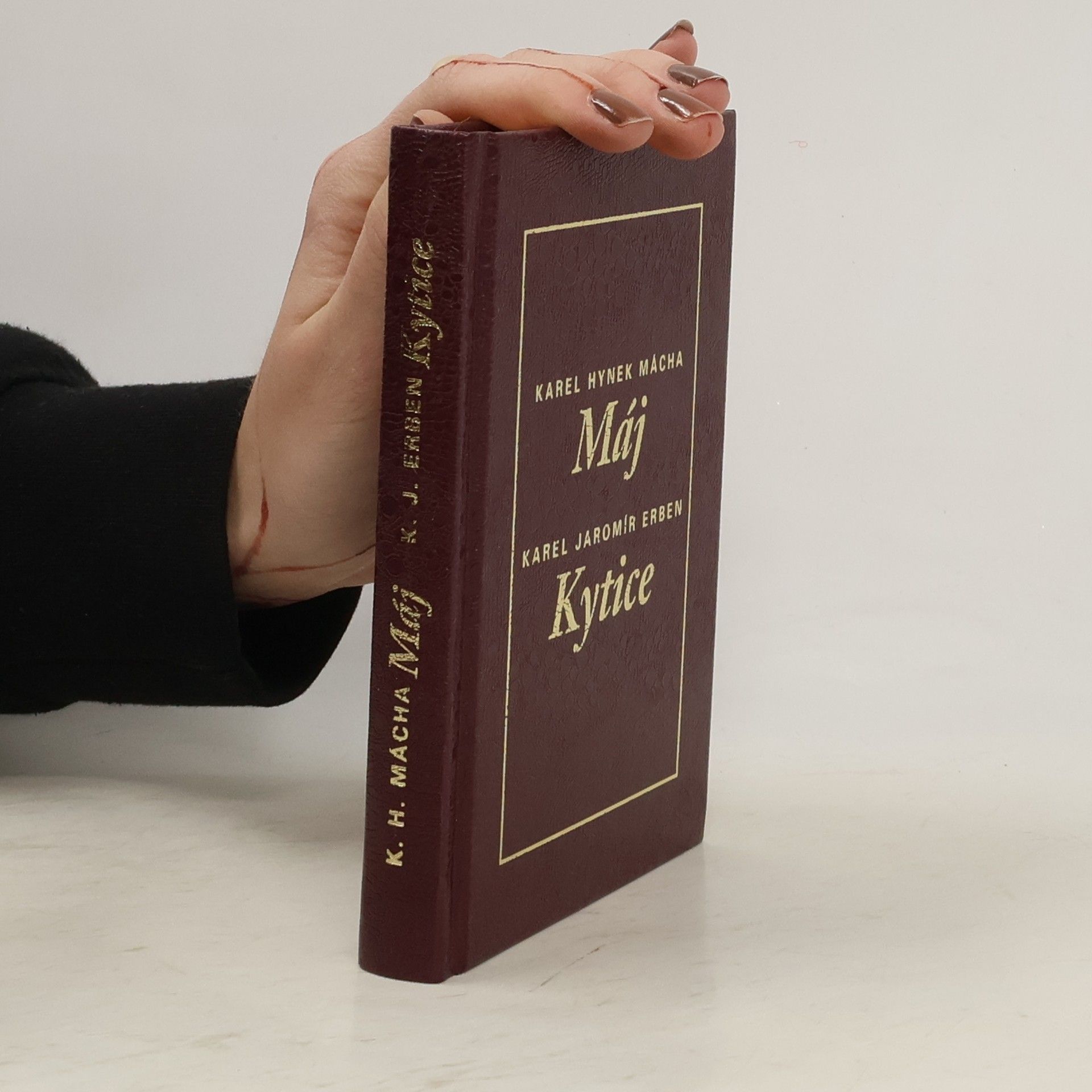 Karel Hynek Mácha Máj. Kytice