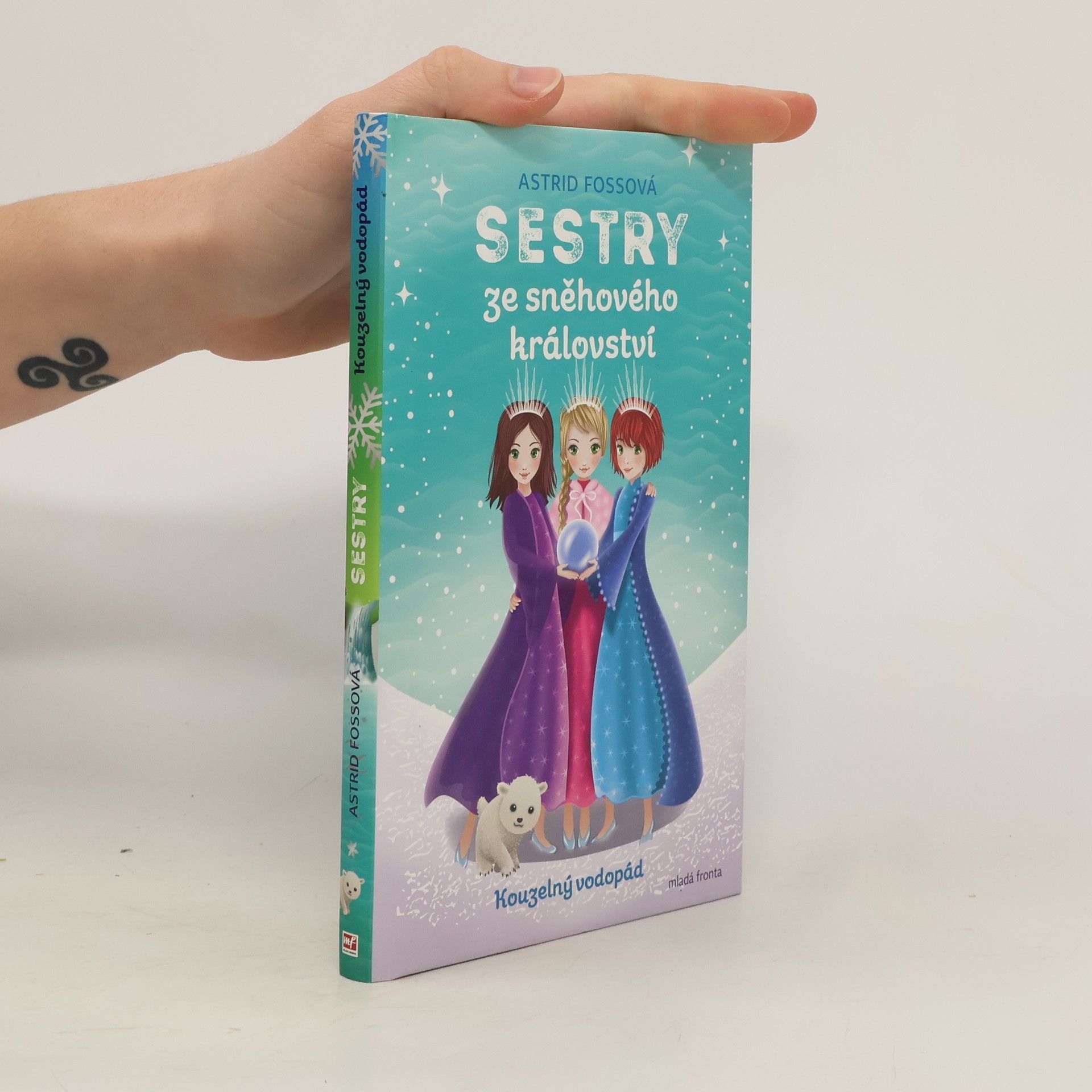 Sestry ze sněhového království. Kouzelný vodopád