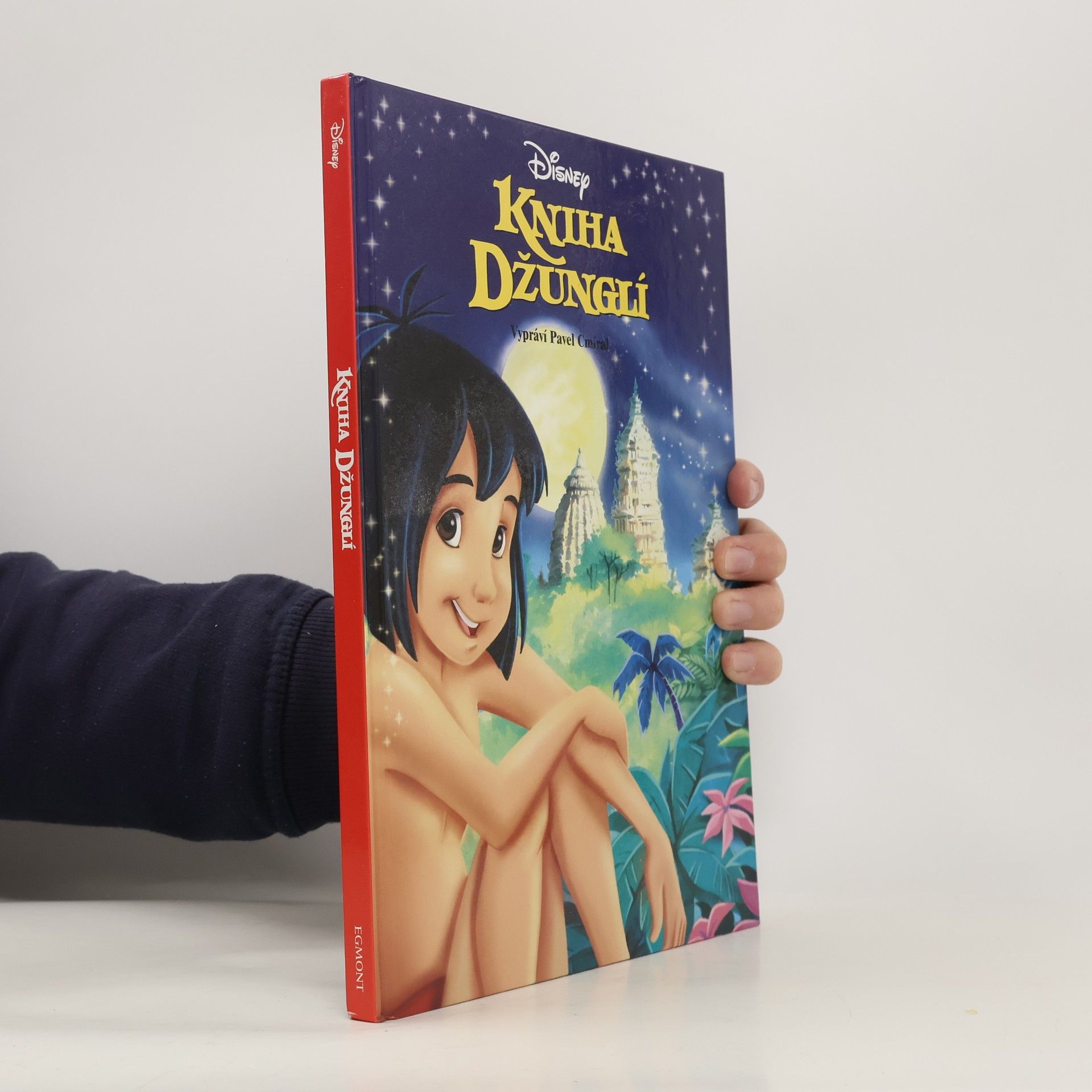 Pavel Cmíral Kniha džunglí