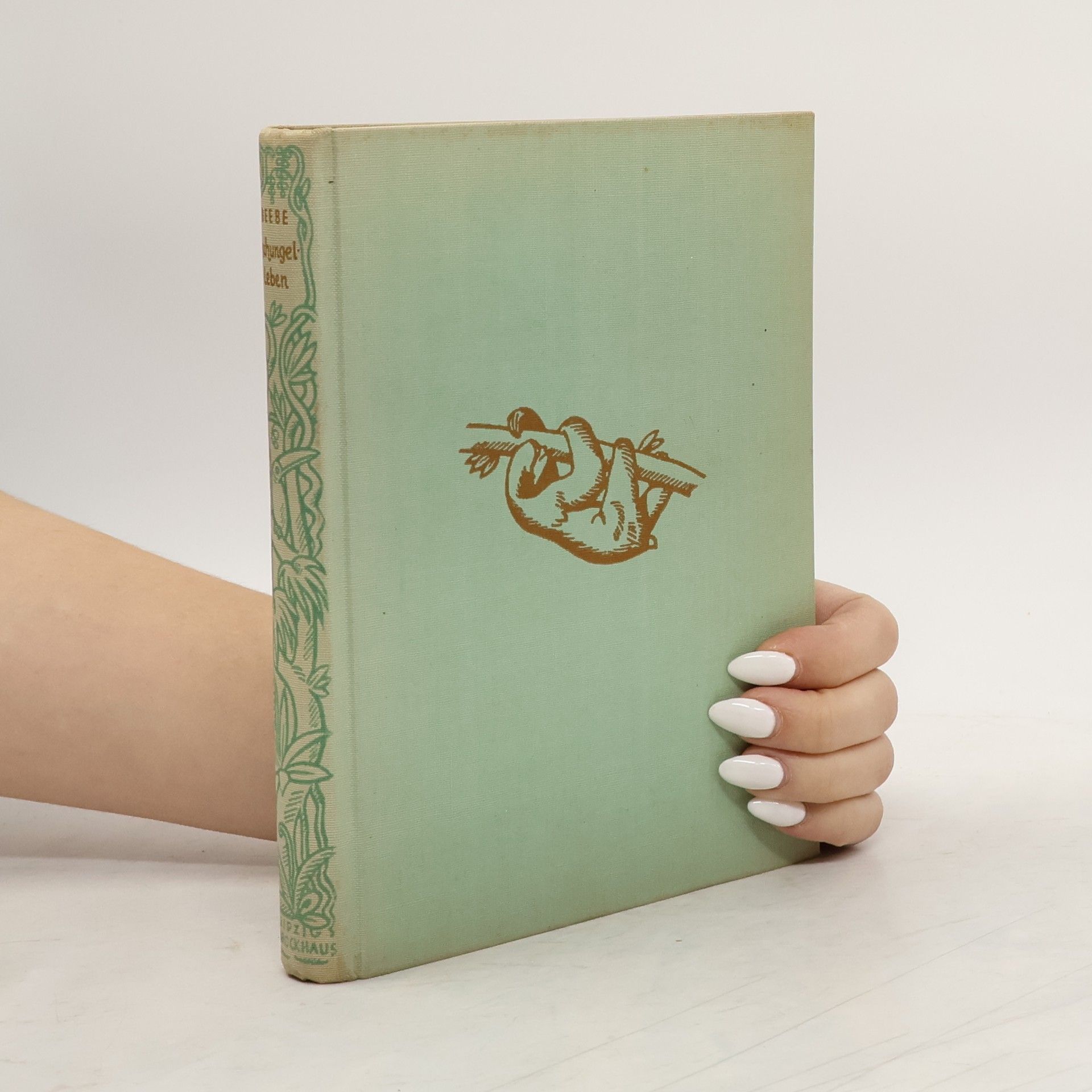 Dschungelleben: Forscherfreuden in Guayanas Urwäldern