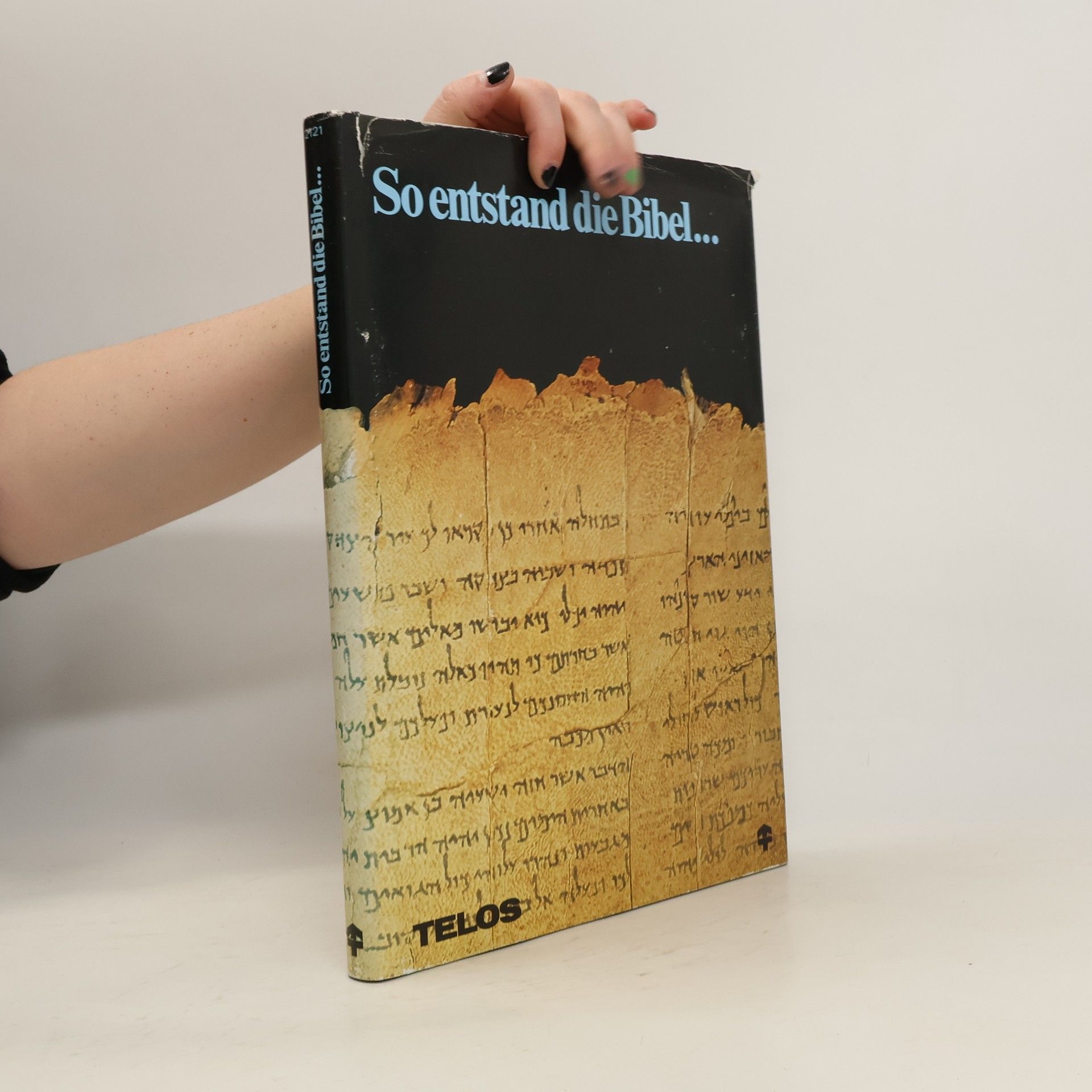 Auteurscollectief So entstand die Bibel...