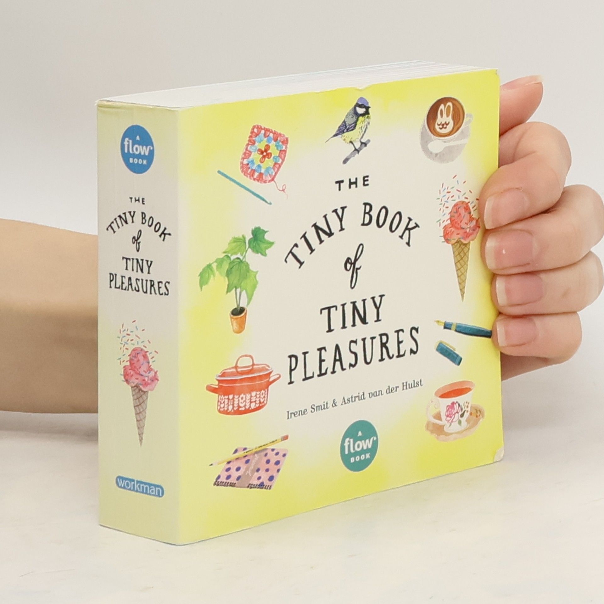 Astrid van der Hulst The Tiny Book of Tiny Pleasures