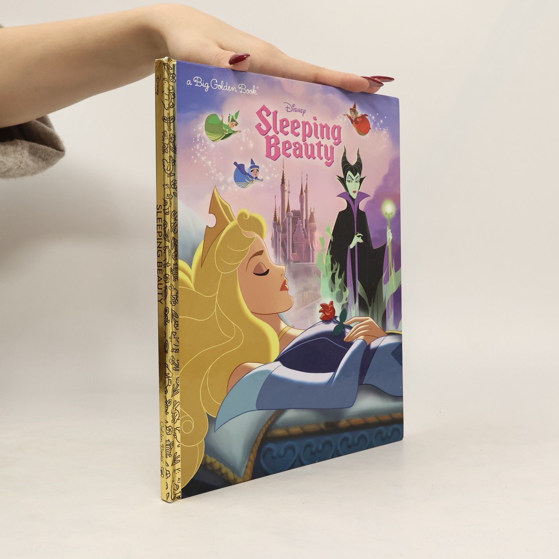 Autores varios Sleeping Beauty