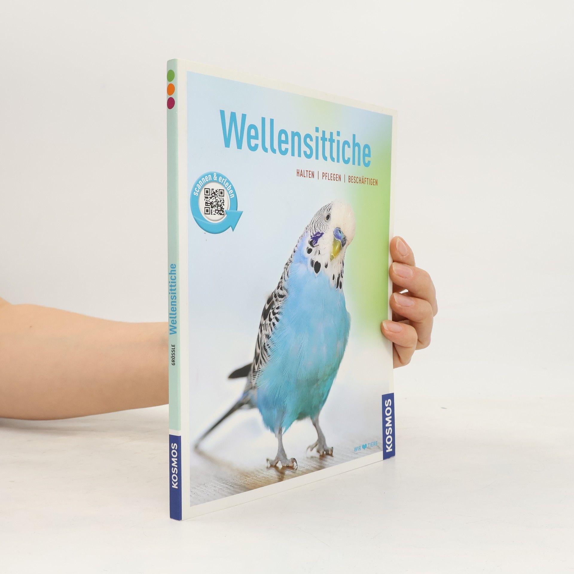 Bernhard Größle Wellensittiche