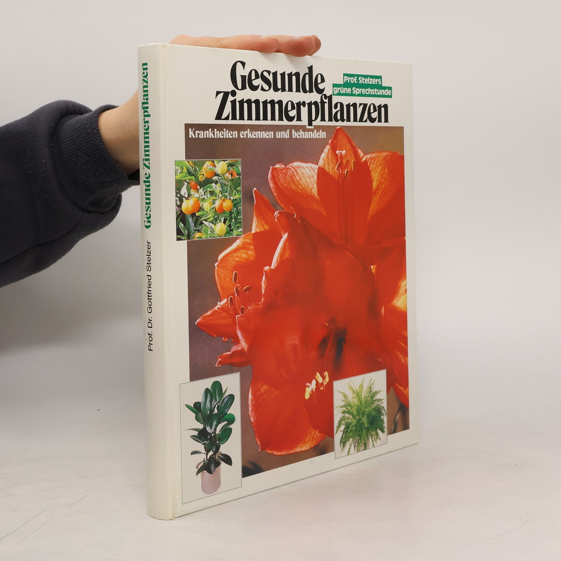 Gottfried Stelzer Gesunde Zimmerpflanzen