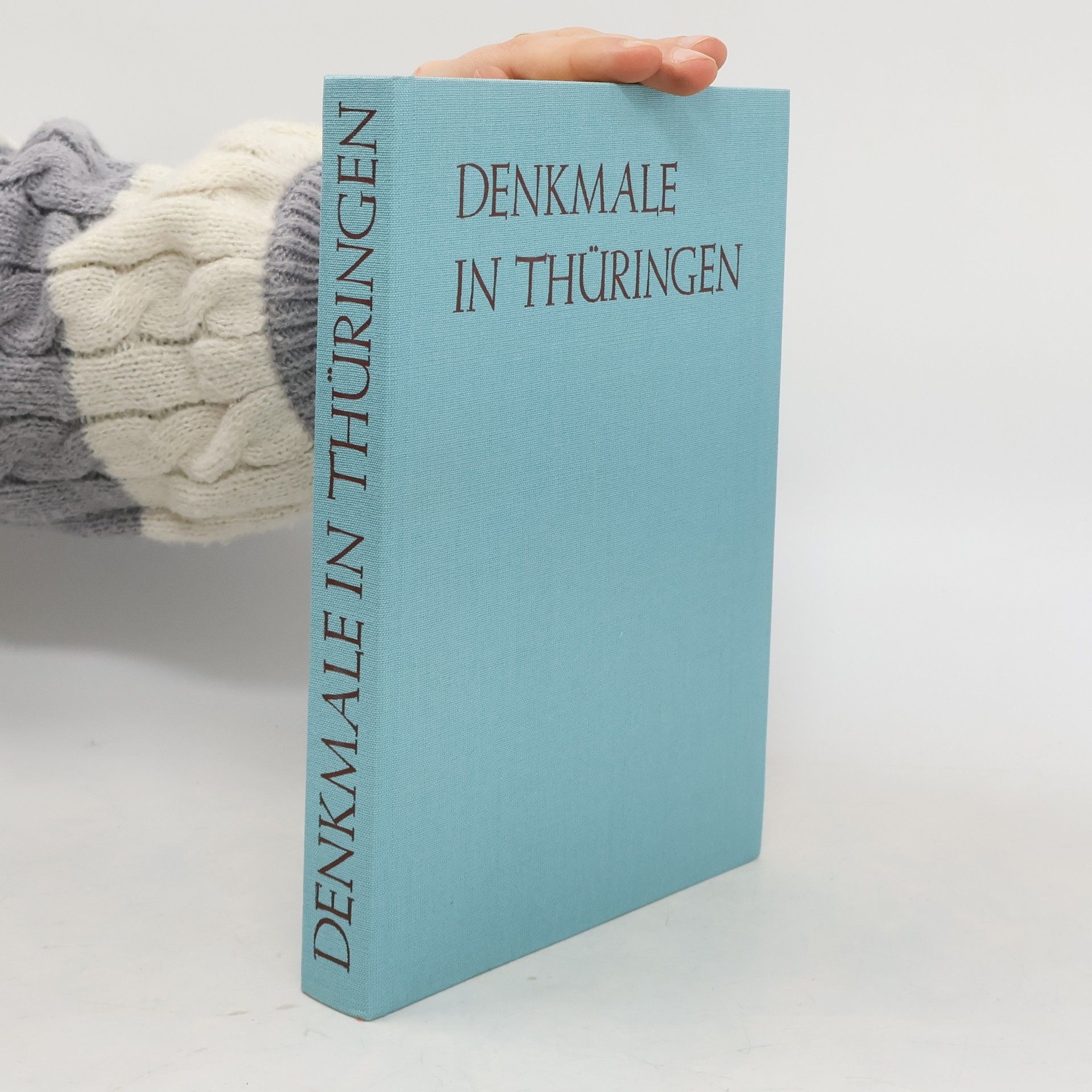 Kolektiv autorů Denkmale in Thüringen
