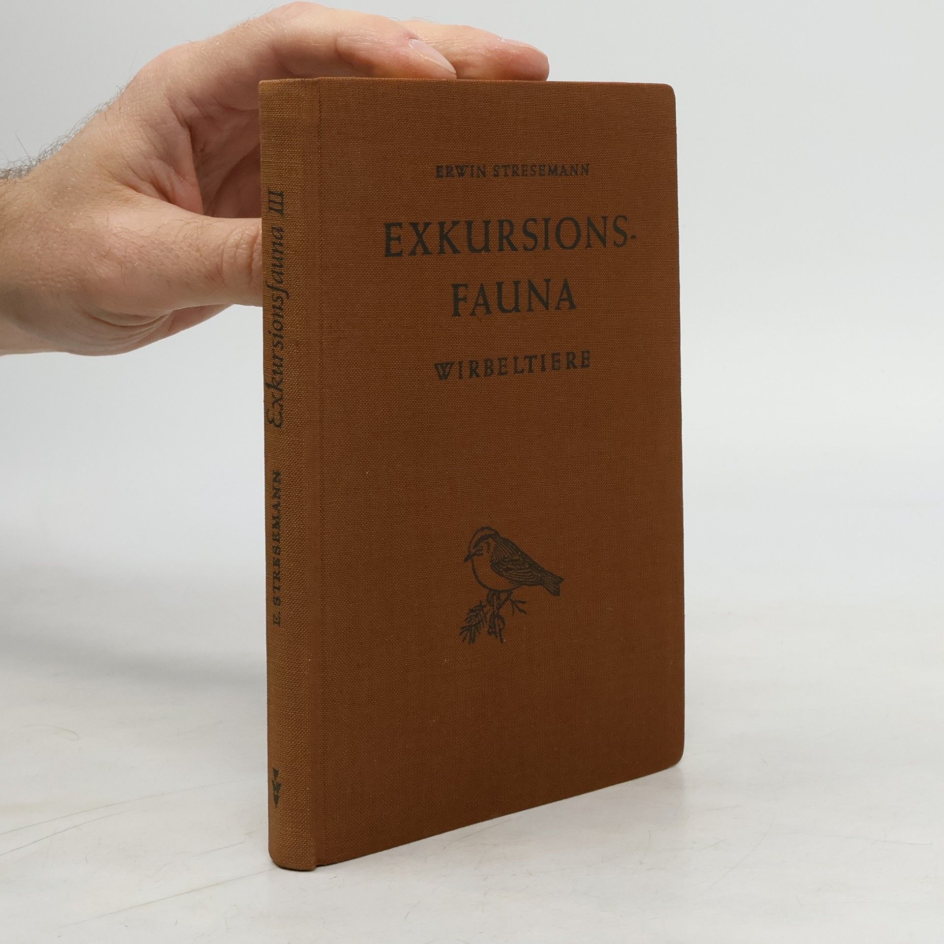 Exkursionsfauna III.